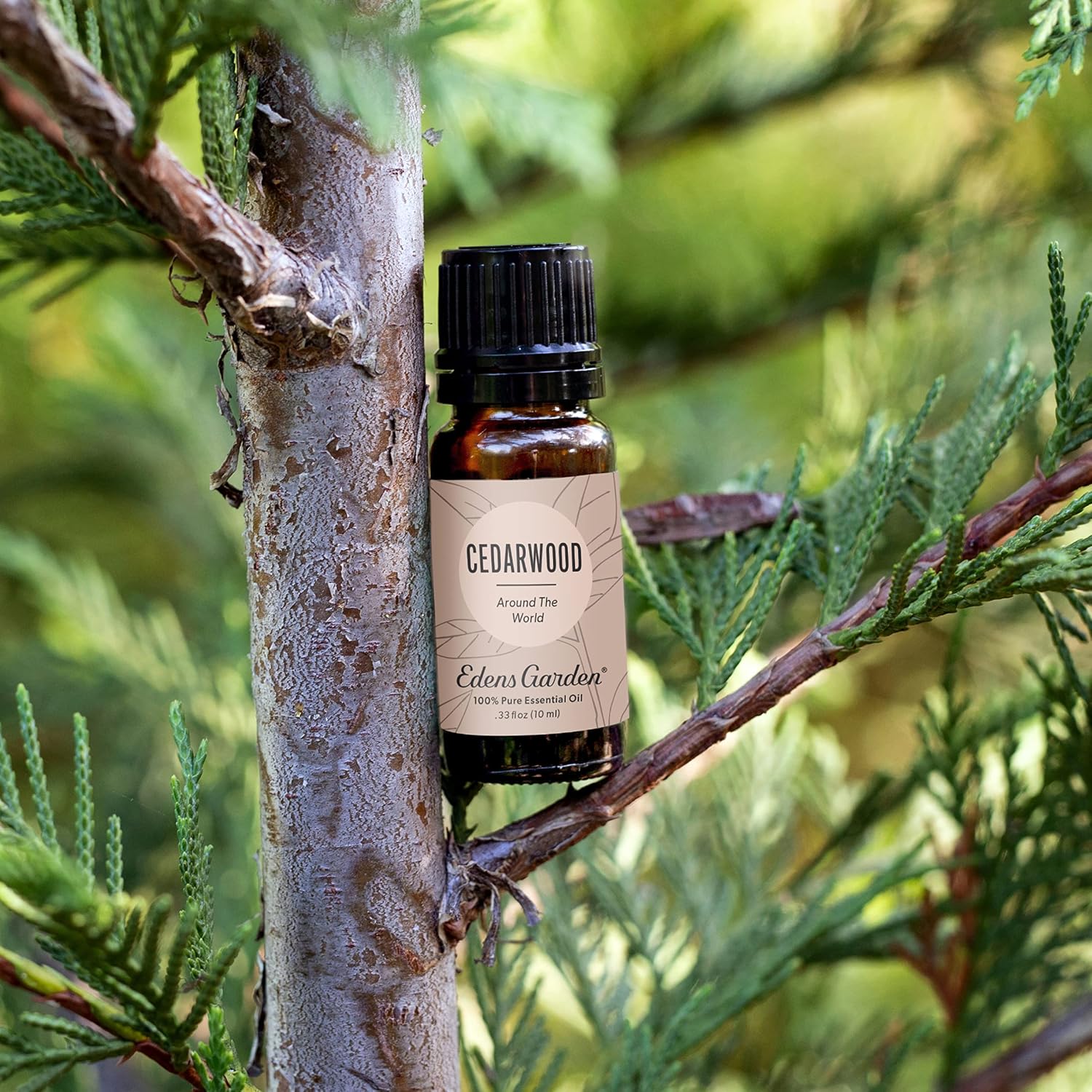 Edens Garden Cedarwood-Texas Essential Oil- 100% Pure 10 ml (.33 fl oz)