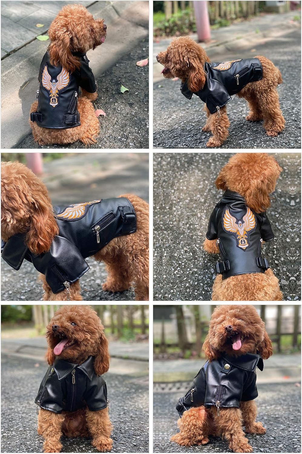 Lovelonglong Cool Dog Leather Jacket, Warm Coats Dogs Windproof Cold Weather Coats for Large Medium Small Dogs with Eagle Embroidery Black XS