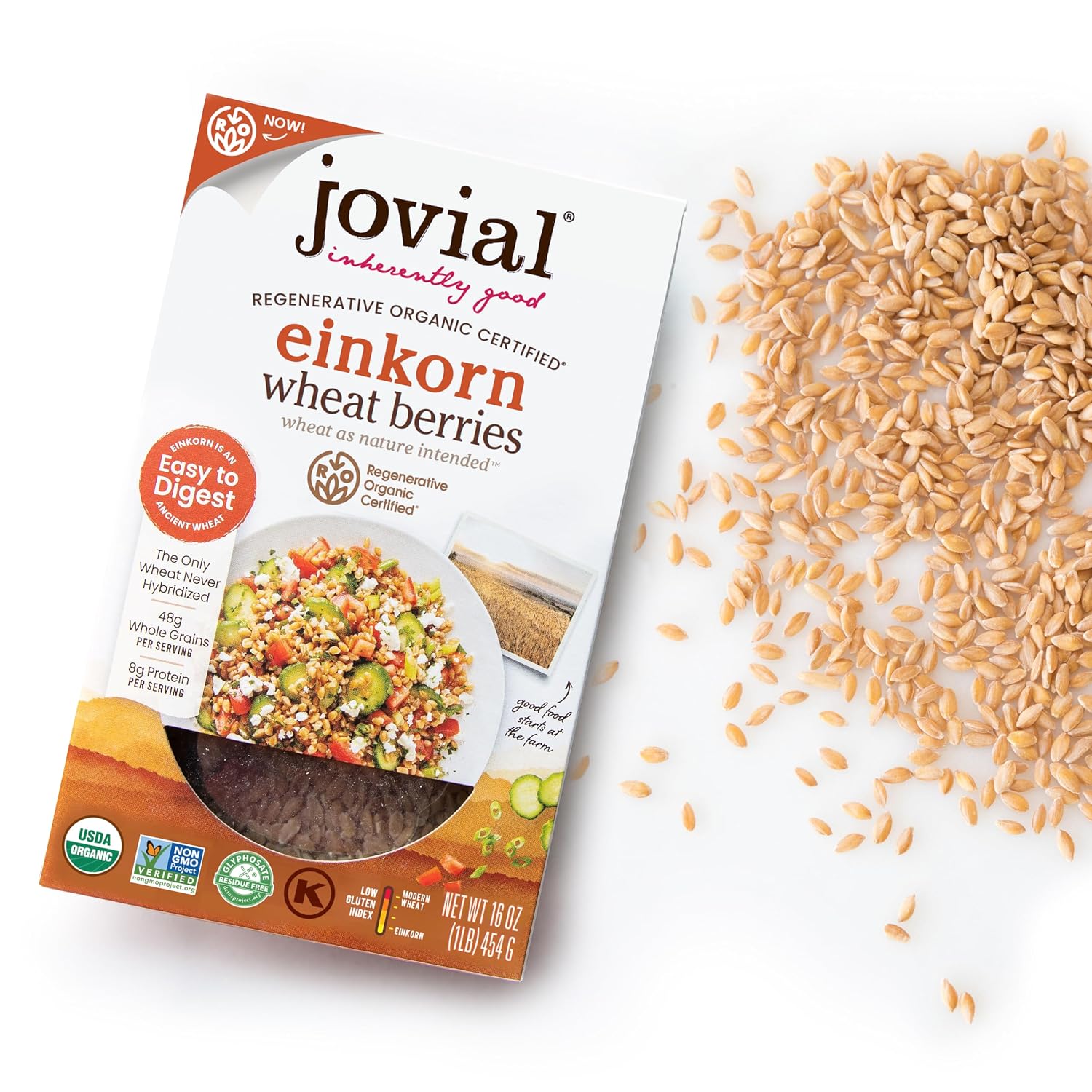 Jovial Einkorn 100% Organic Wheat Berries - Einkorn Berries, Organic Farro, High Protein, Non-GMO, USDA Certified, Lower Carb, Whole Grain, Product of Italy - 16 Oz