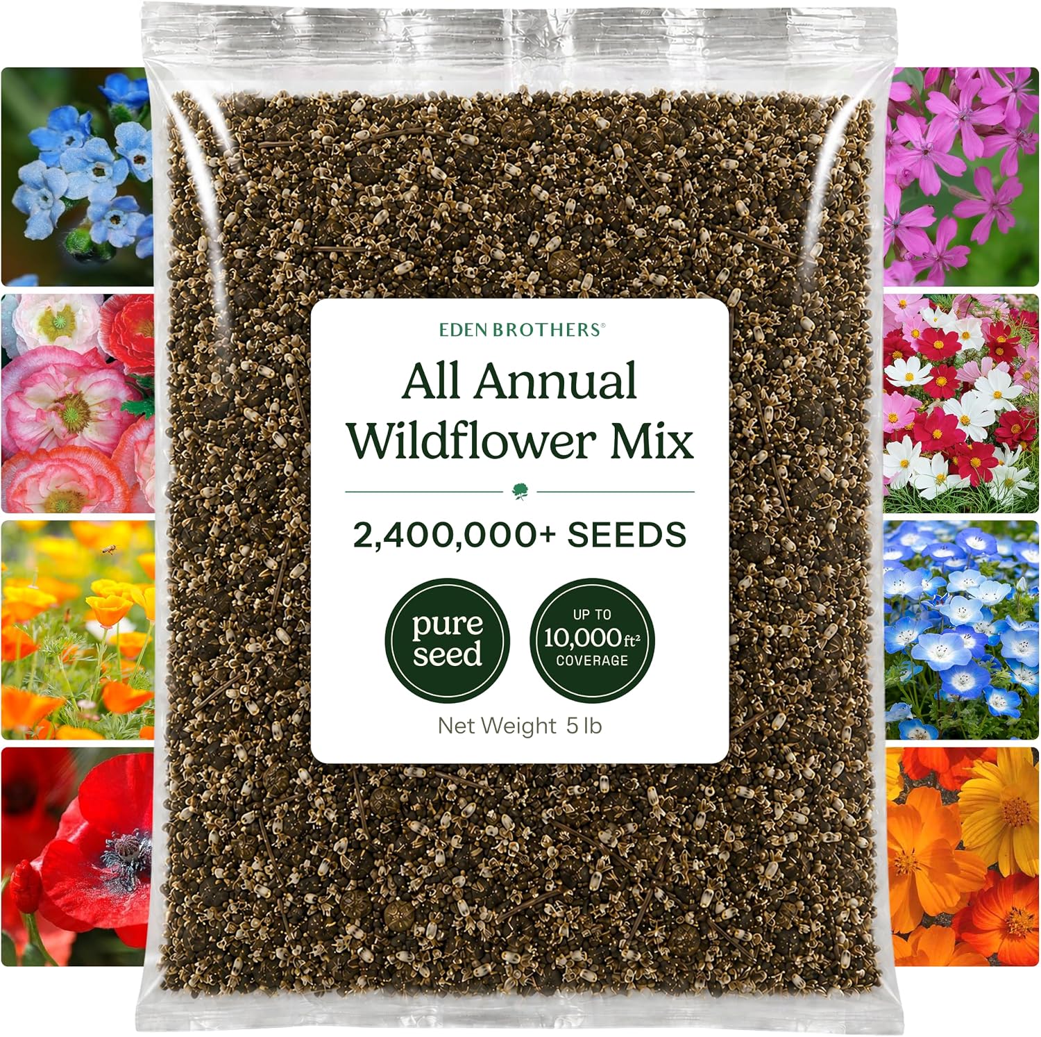 Eden Brothers All Perennial Wildflower Mixed Seeds for Planting, 1 lb, 480,000+ Seeds with Lupine, Shasta Daisy | Attracts Pollinators, Plant in Spring or Fall, Zones 3, 4, 5, 6, 7, 8, 9, 10