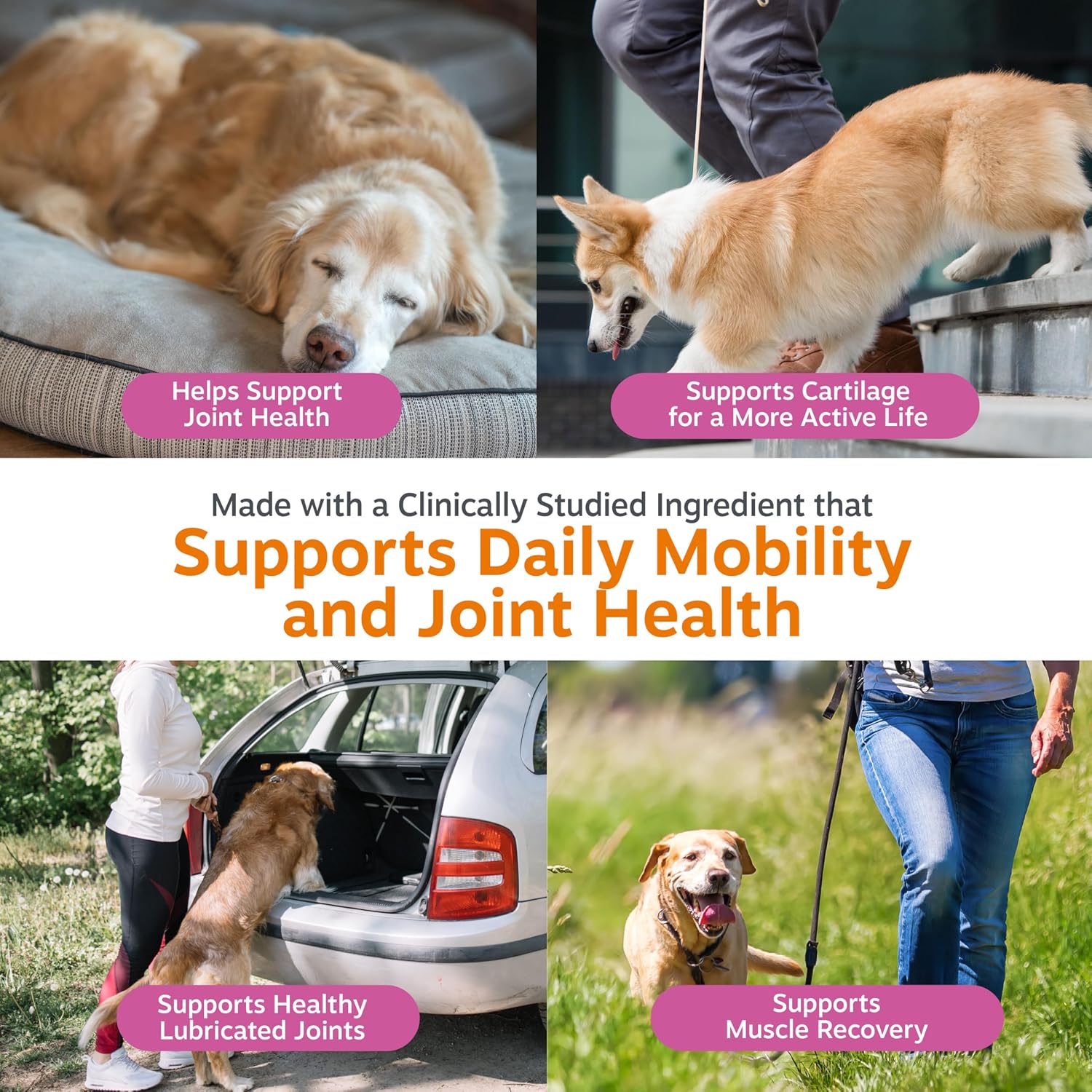 Zesty Paws Hip and Joint Supplement for Dogs - Glucosamine with Chondroitin, MSM, Vitamins C and E Dog Joint Relief - Mobility Bites Duck – 90 Count