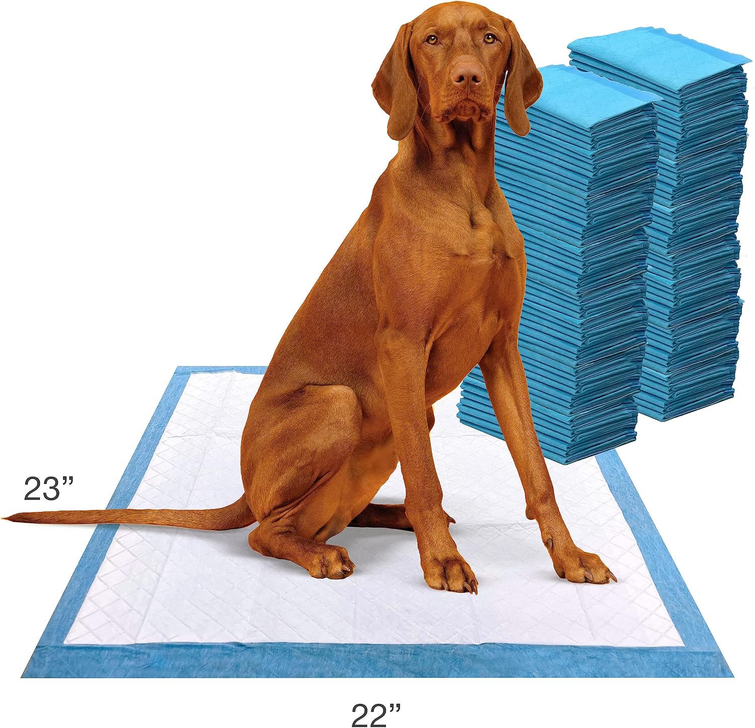 Four Paws Wee-Wee Advanced Formula Odor Control Dog Pee Pads, 100 Count | Neutralizes ammonia odors, pee pads for dogs & puppies, dog housebreaking