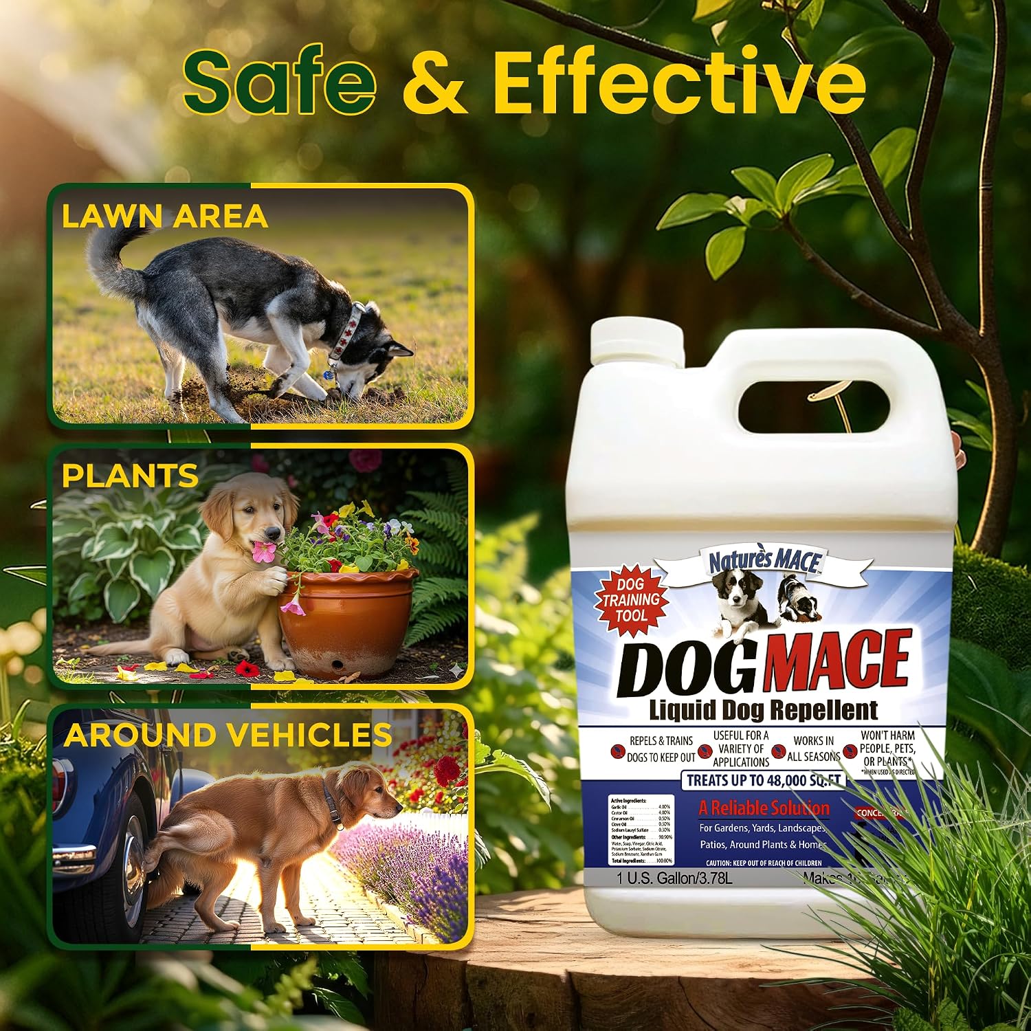 Nature's MACE Dog Mace Dog Repellent 1 Gallon Concentrate | Potty Training Tool Spray, Indoor & Outdoor, Pee Deterrent, Safe Around Kids, Pets, Garden & Plants, Treats 48,000 Sq. Ft.