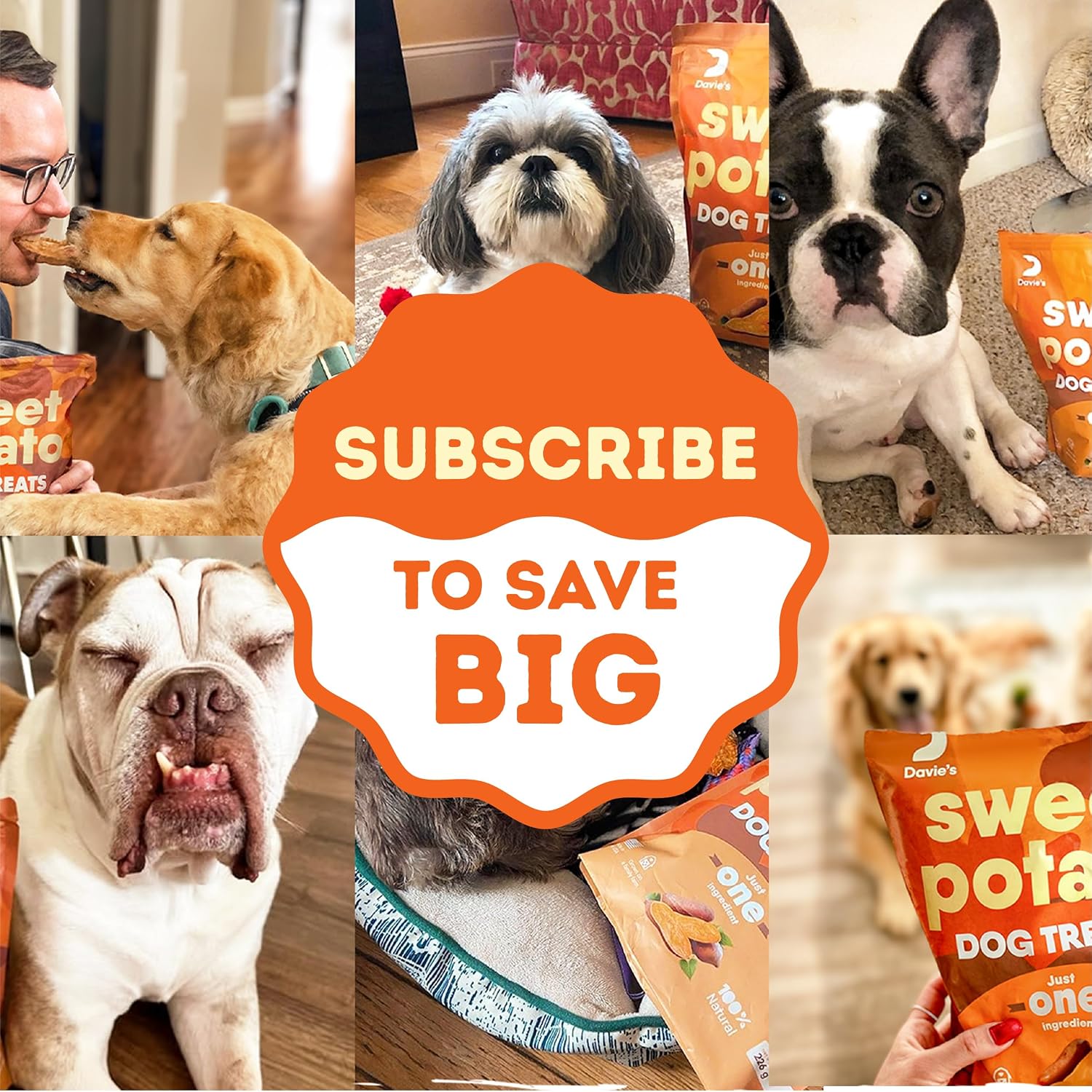 Davie's Sweet Potato Dog Treats - Natural Dog Chews, 1 lb.