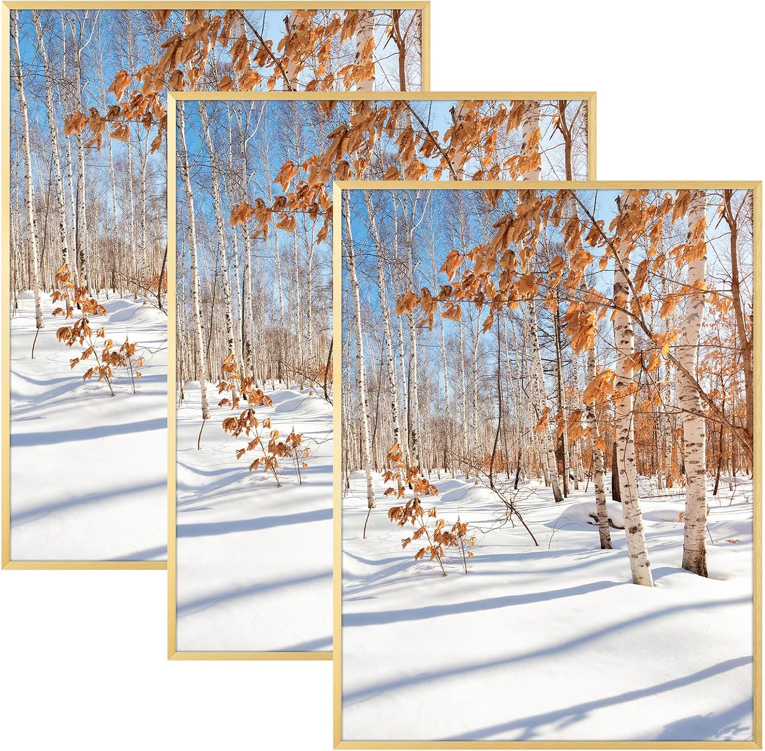 Golden State Art 3 Pack 12x12 Black Aluminum Frames, Real Glass Fronts