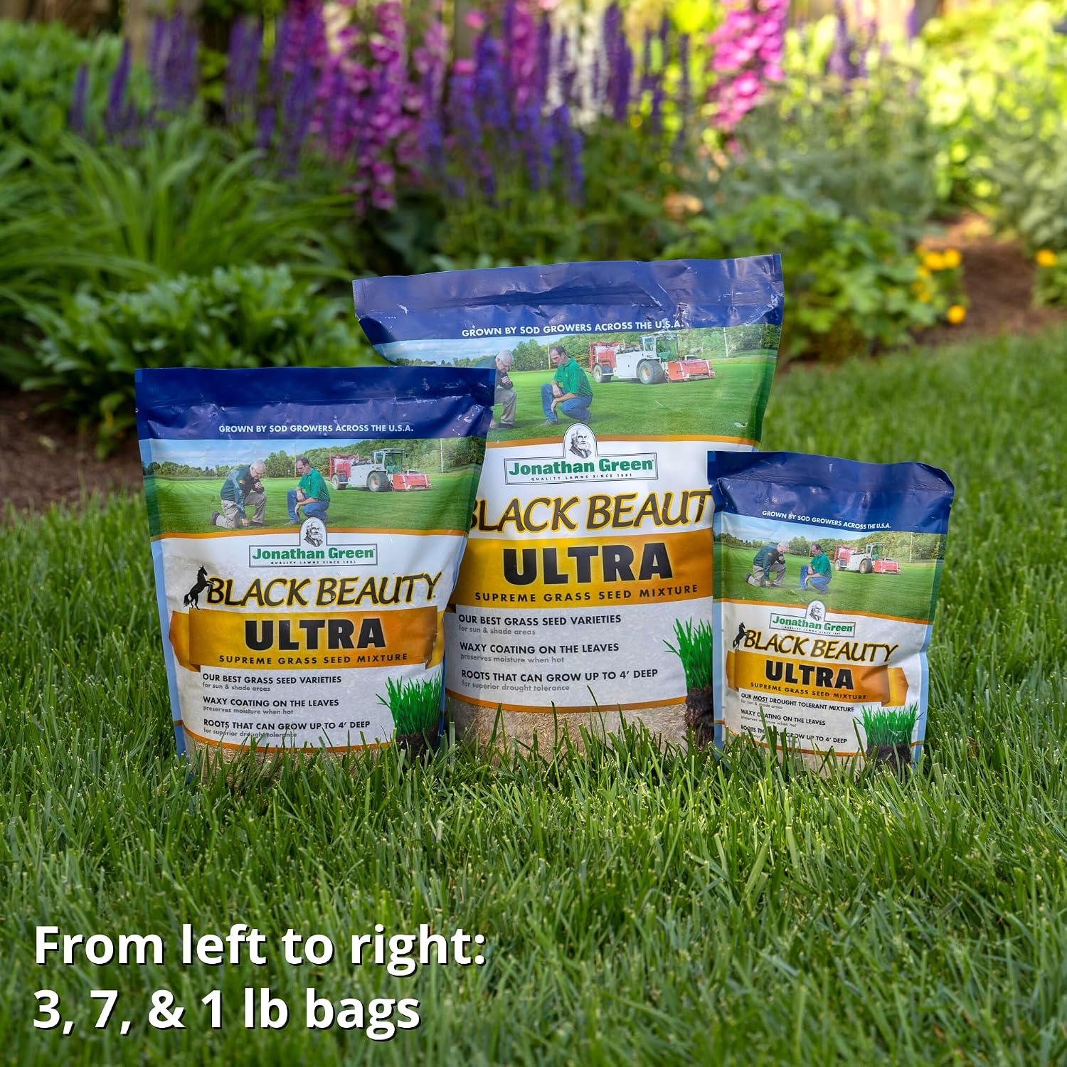 Jonathan Green (10323) Black Beauty Ultra Grass Seed - Cool Season Lawn Seed (25 lb)