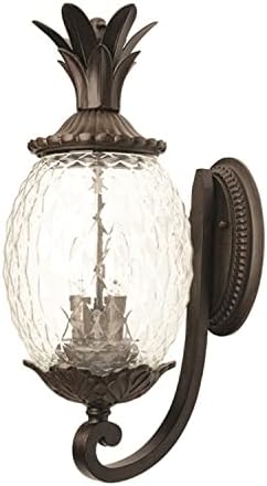 Acclaim 7501BC Lanai Collection 2-Light Wall Mount Outdoor Light Fixture, Black Coral