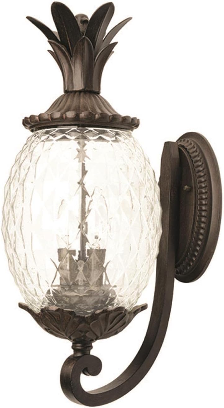 Acclaim 7501BC Lanai Collection 2-Light Wall Mount Outdoor Light Fixture, Black Coral