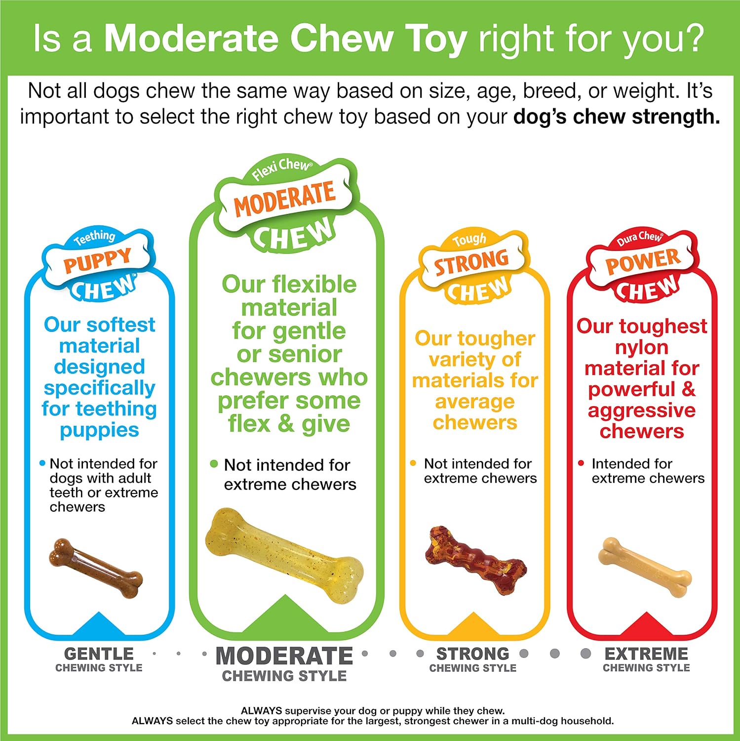 Nylabone Flexi Chew Tiny Gumabone Dog Chew Toys, XX-Small, 2 Count | Peanut butter & bacon flavor, x-small breeds, flexible material, fill with treats