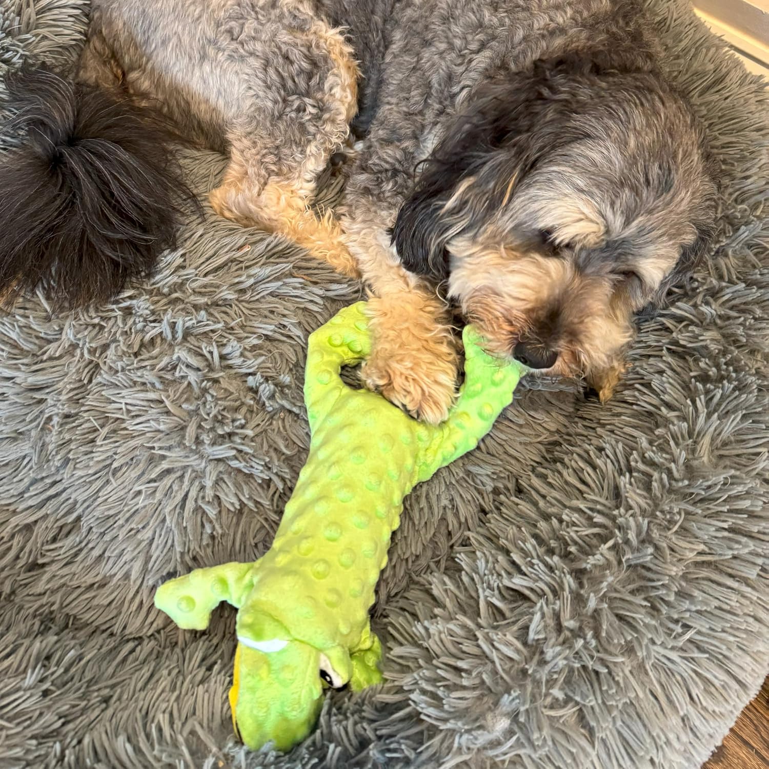 SPOT Skinneeez Extreme Stuffers Frog - Stuffing Free Dog Toy With Squeaker & Rip Stop Mesh Lining for Durability - Insert Plastic Bottle for Extra Crunch, For Small to Medium Puppies & Dogs - 14in