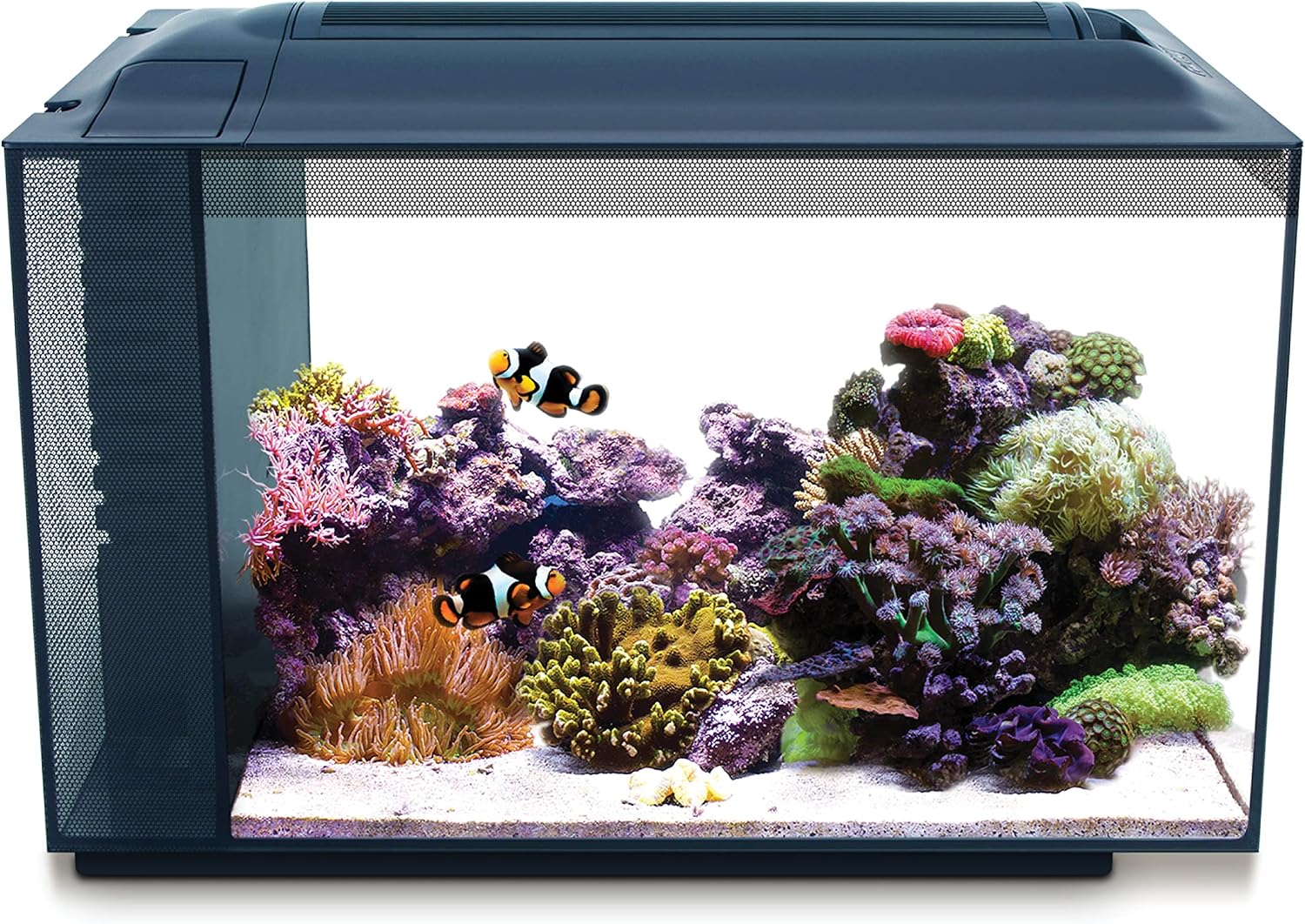 Fluval Evo XII Saltwater Aquarium Kit, 13.5 Gal. | Saltwater Fish Tank with Reef-Capable LED