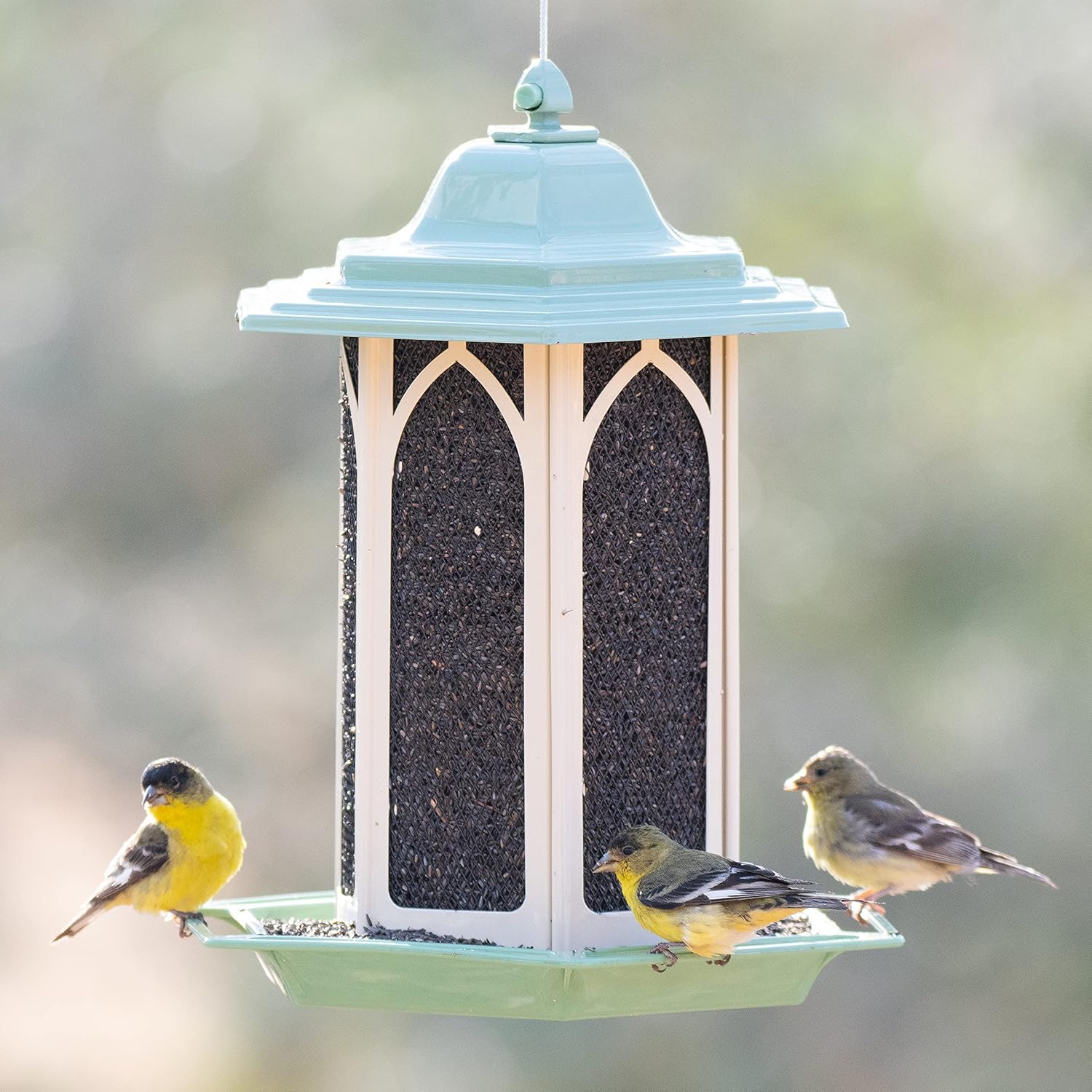 Perky-Pet GAZ01 Pistachio Gazebo Bird Feeder - Metal Bird Feeders for Outside - Outdoor Garden Décor