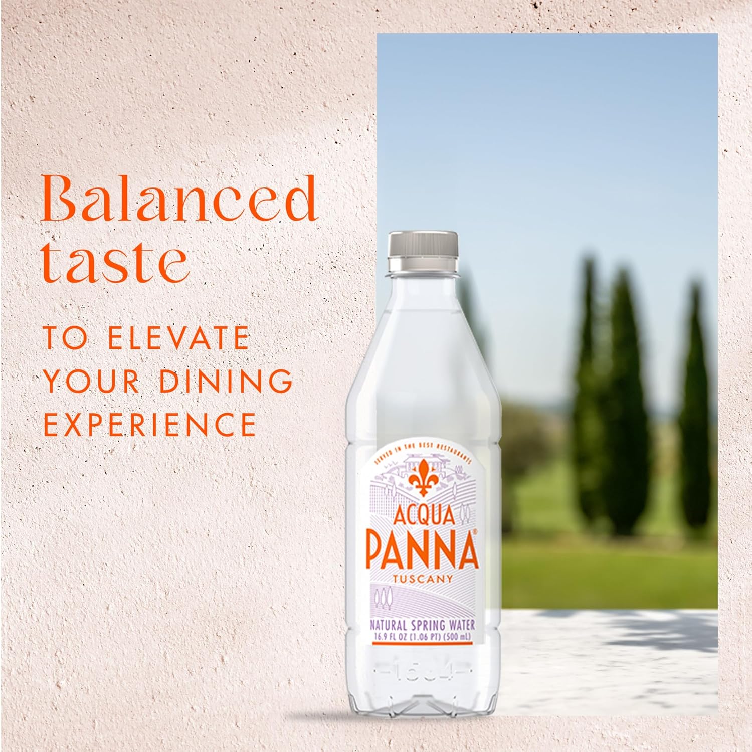Acqua Panna Natural Spring Water, 16.9 Fl. Oz. Plastic Bottles, Pack of 24
