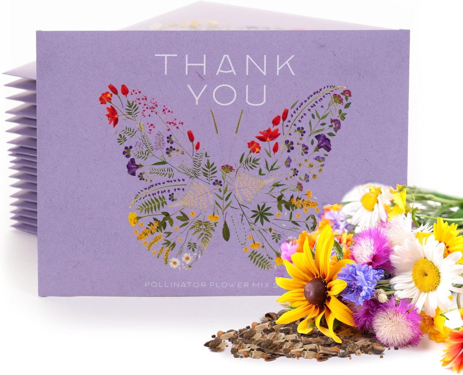 Bentley Thank You Packet - Sunflower Seeds - Pack of 25 - Perfect Eco-Friendly Thank You Gift - Non GMO