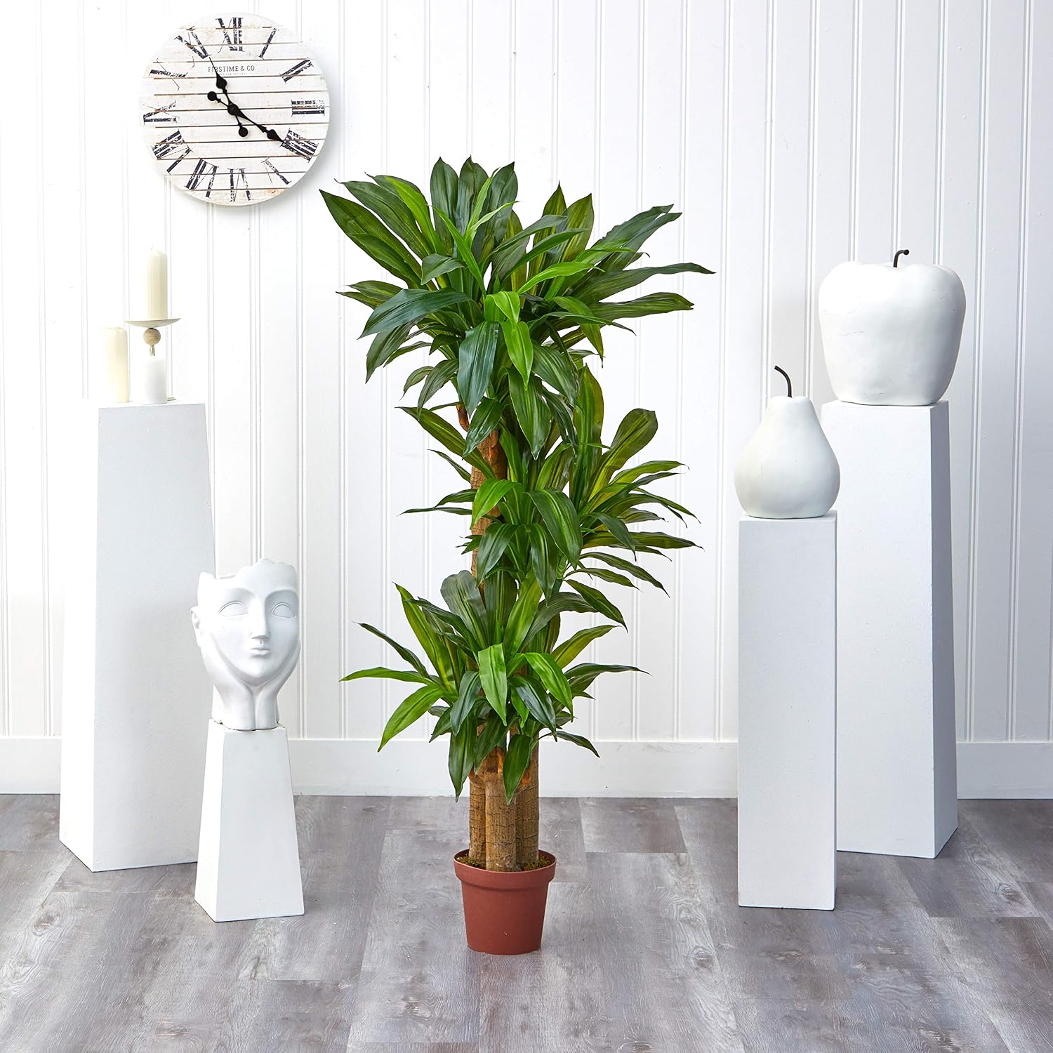 Nearly Natural 62IN Artificial Corn Stalk Dracaena Plant, Tall Fake Plant for Indoor Home Décor, Real Touch Faux Plant | Multi-Tonal Trunks