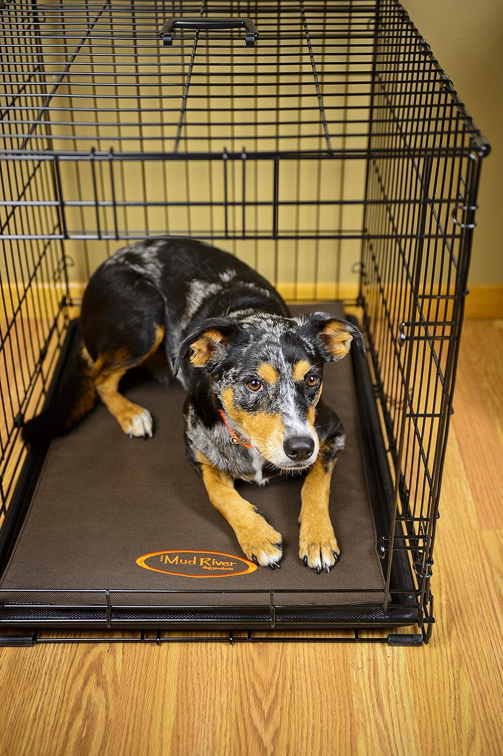 Mud River Crate Cushion