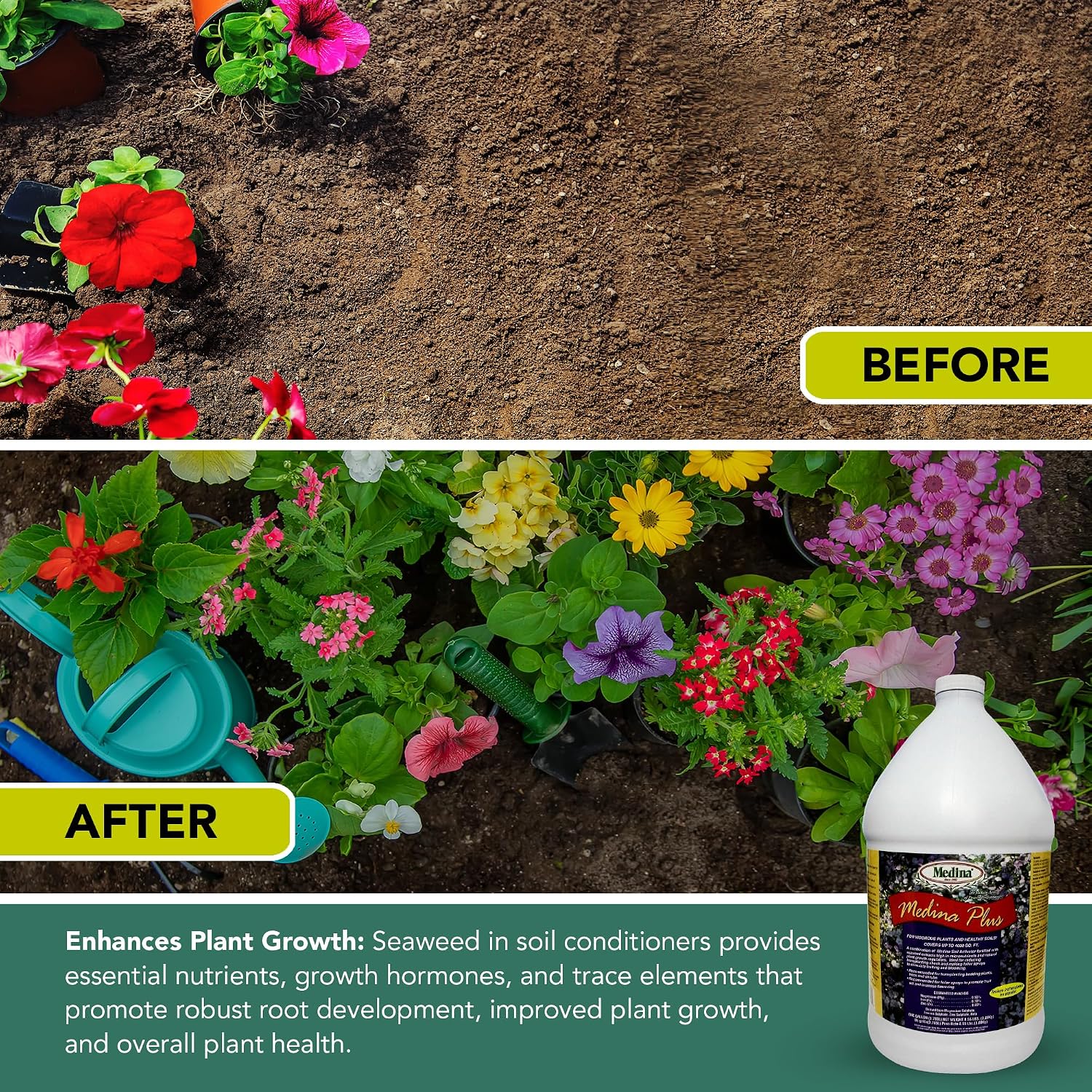 Medina Plus Soil Activator - Liquid Soil Loosener for Lawns & Gardens - Micronutrient-Rich Soil Conditioner & Softener - Used with House Plant Fertilizer, Liquid Plant Food for Houseplants - 1 End Qt