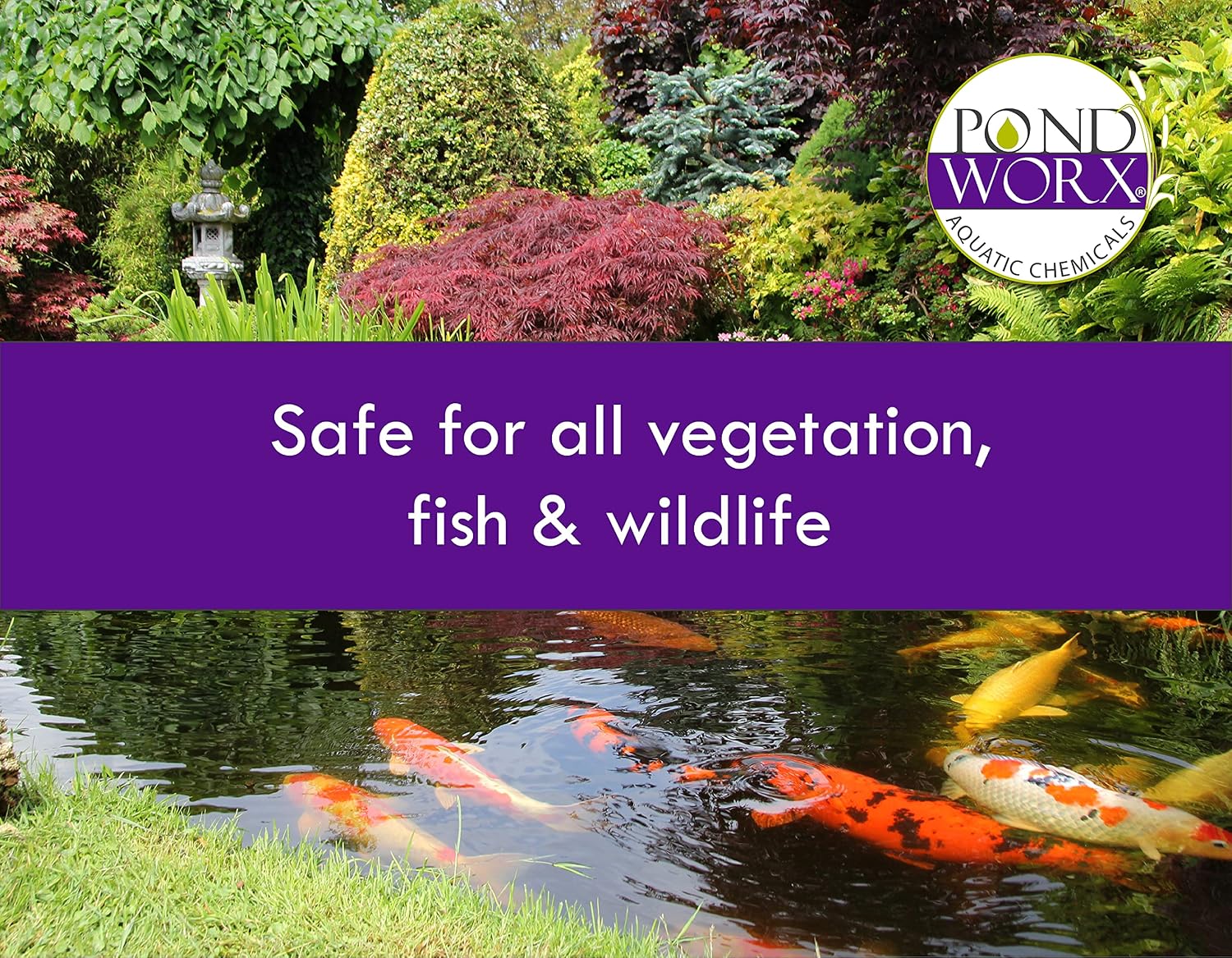 PondWorx Pond Bacteria - Formulated for Large Ponds, Water Features and Safe for Koi - Gallon