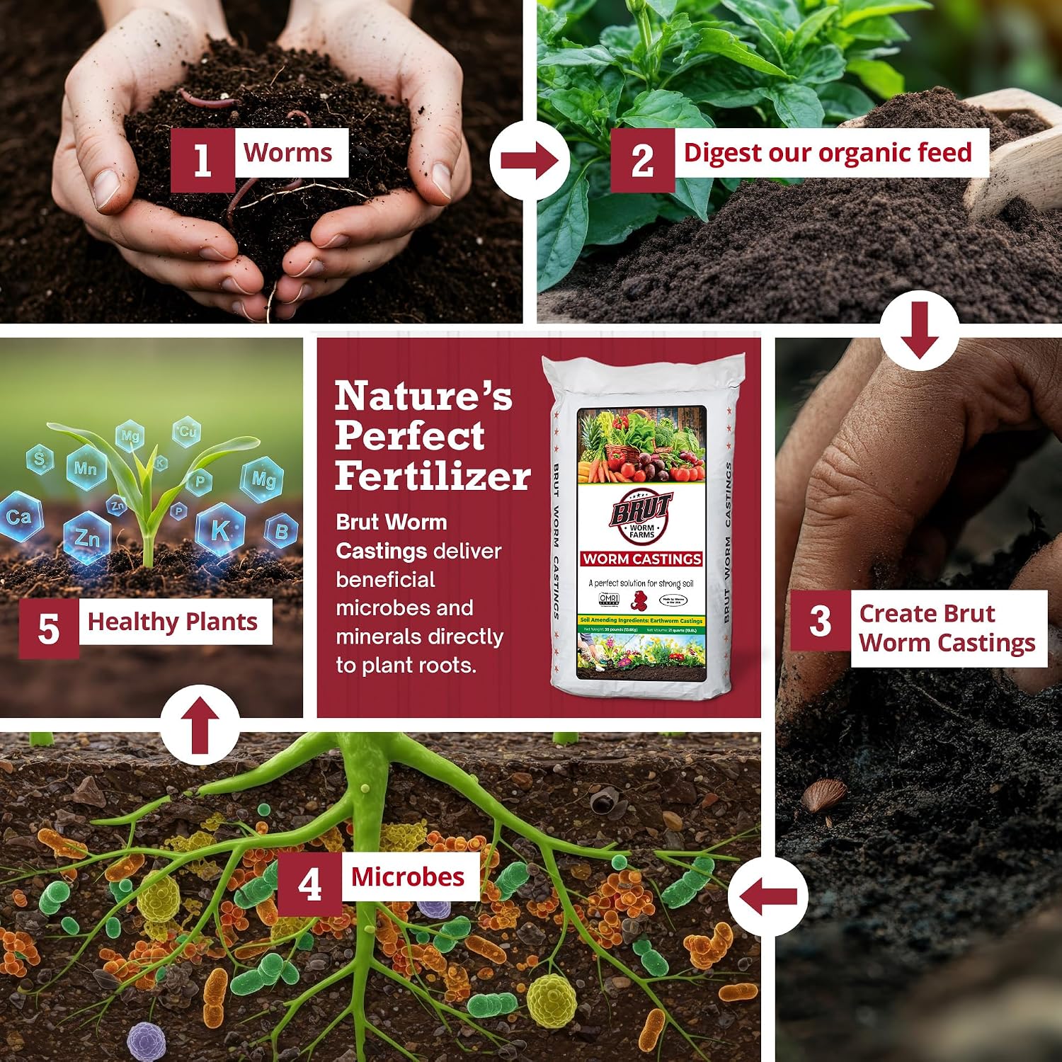 Brut Worm Farms Organic Worm Castings, Natural Fertilizer for Plants, 30 lb | Mineral-Rich Potting Mix Additive & Plant Food for Indoor Outdoor Plants, Compost, Soil Health & Garden Growth