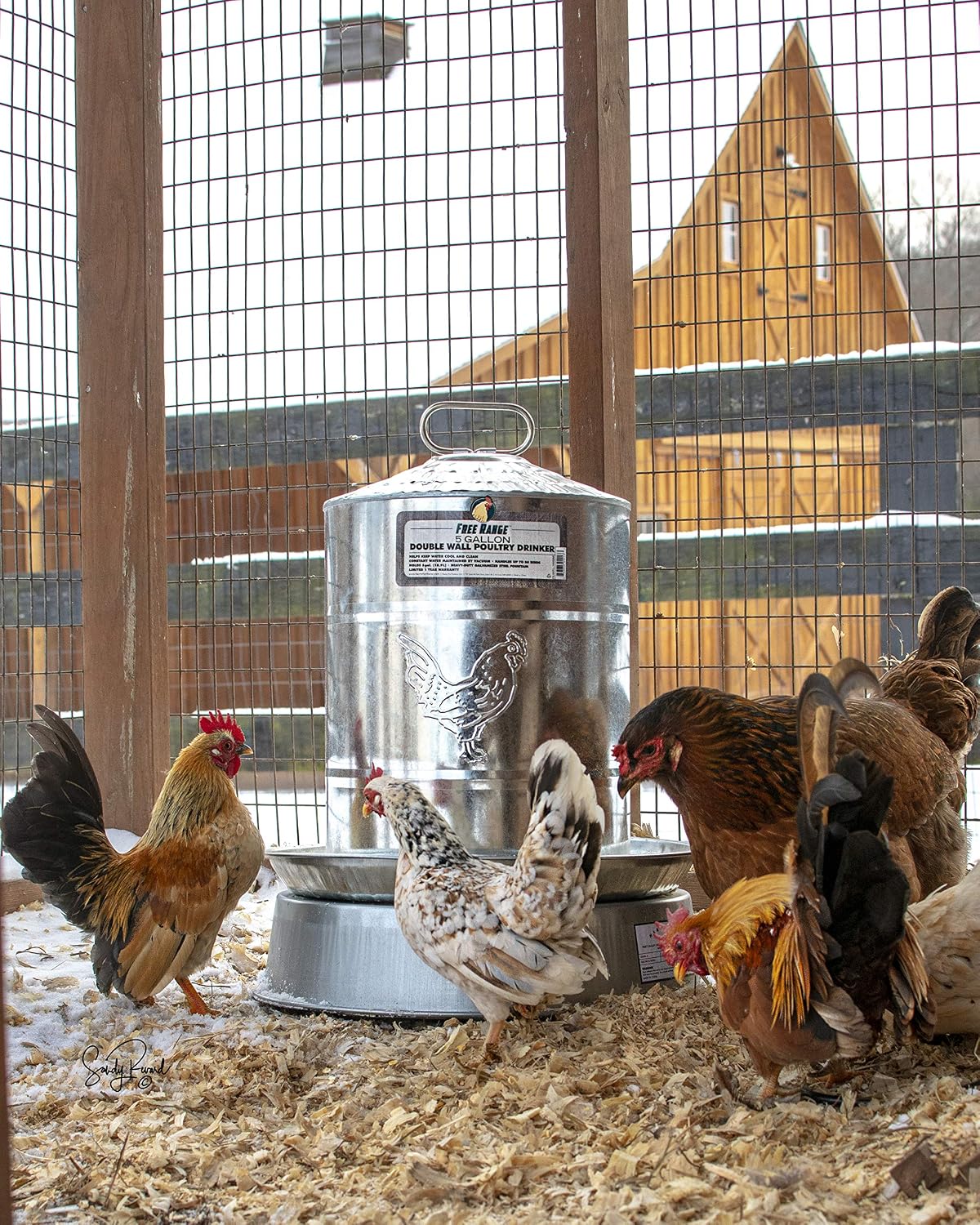 Harris Farms Heated Poultry Drinker Base for Chicken Waterers & Coops