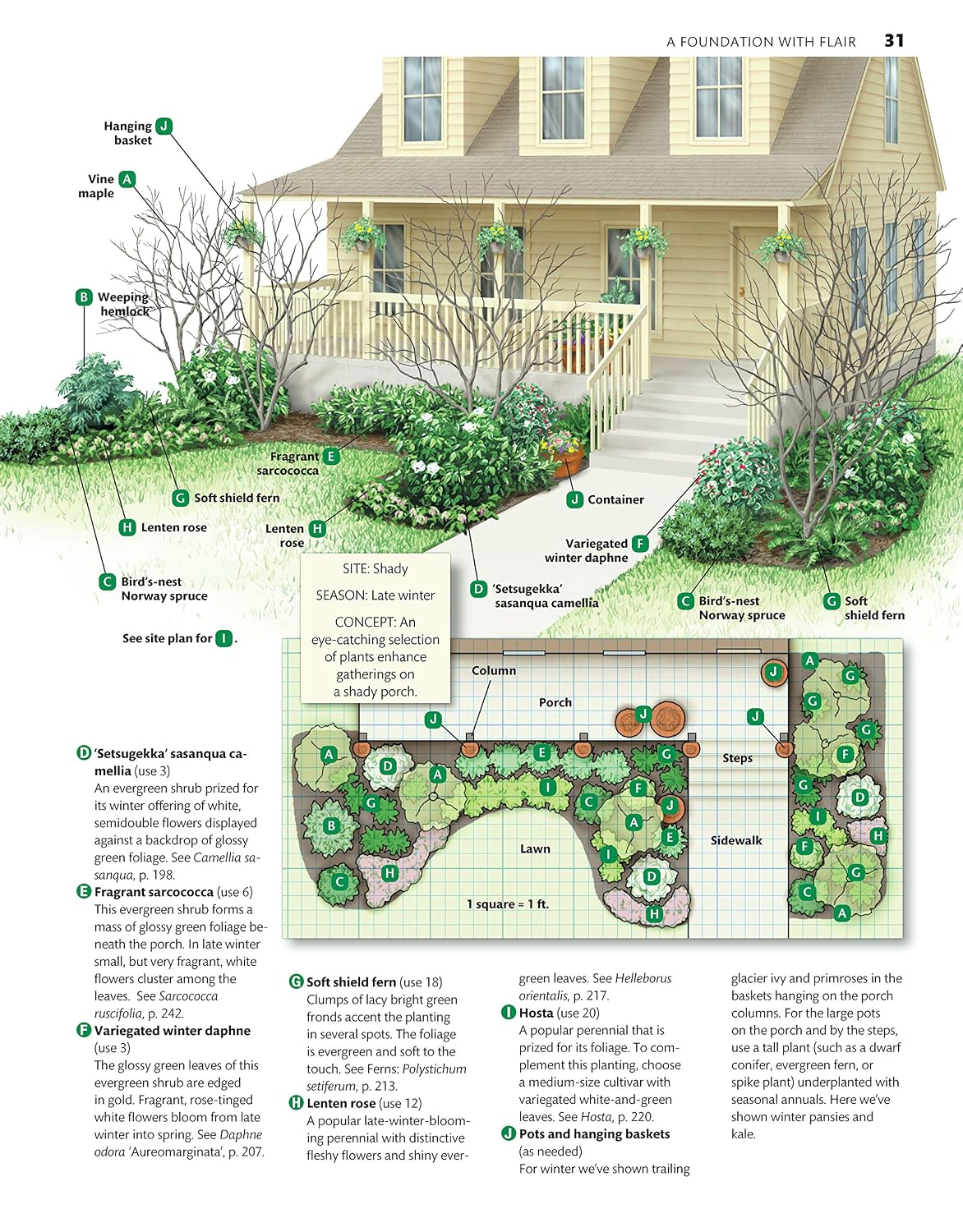 Western Home Landscaping: 42 Landscape Designs, 300+ Plants & Flowers Best Suited to the West (Creative Homeowner) Garden & Landscape Ideas for AZ, CA