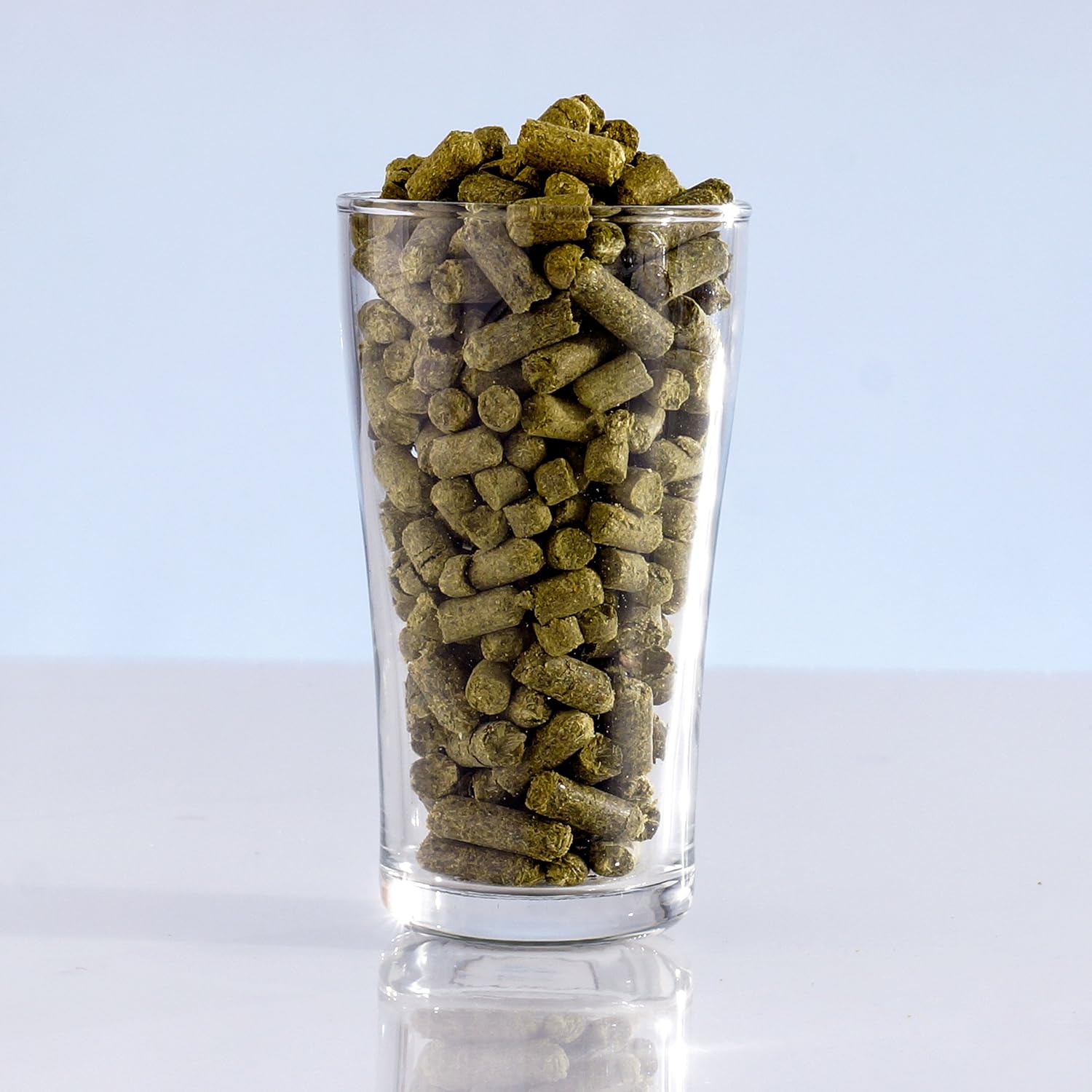 Northern Brewer - Scottish Wee Heavy Strong Ale Extract Beer Recipe Kit - Ingredients for Making 5 Gallons of Homemade Brew