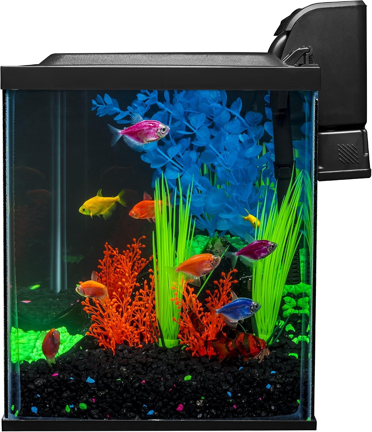 GloFish Crescent aquarium Kit 3 Gallons, Includes Hidden Blue LED Light And Internal Filter