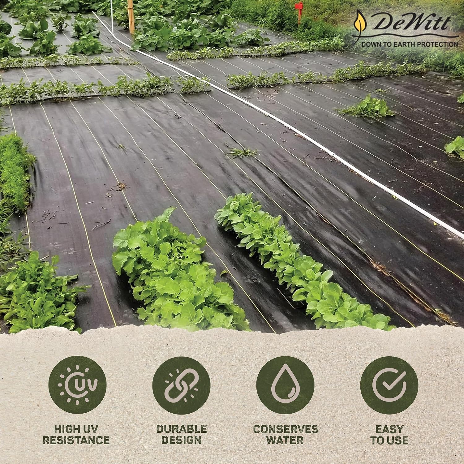 Dewitt Sunbelt Weed Barrier Fabric, 3.2 oz, 3 x 300 Feet – Heavy-Duty Ground Cover Mat for Greenhouse Floors, Garden Rows, Raised Beds, Grass and Yard Gardening, and Outdoor Landscape Protection | Ground Cover Mat for Greenhouse Floors, Garden Rows, Rais…