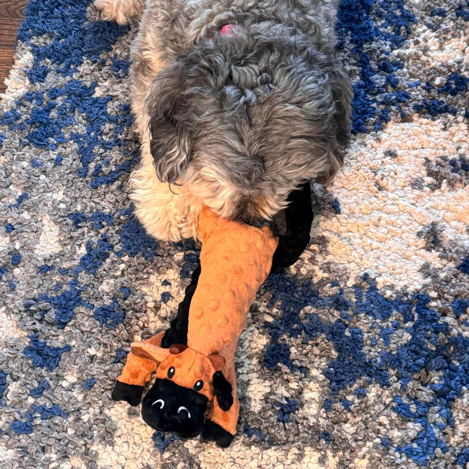 SPOT Skinneeez Extreme Stuffers Frog - Stuffing Free Dog Toy With Squeaker & Rip Stop Mesh Lining for Durability - Insert Plastic Bottle for Extra Crunch, For Small to Medium Puppies & Dogs - 14in