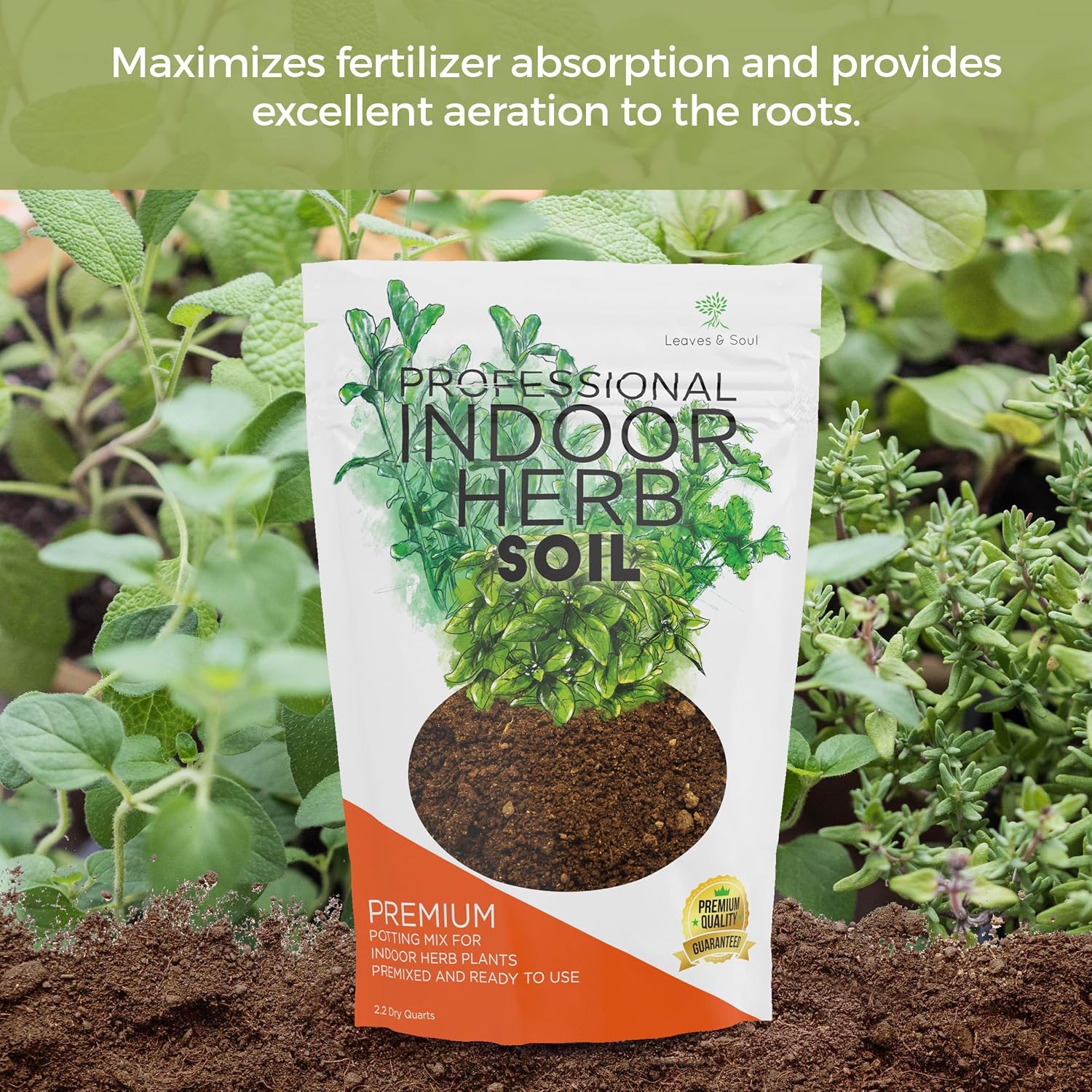 Professional Bonsai Soil Mix Ready to Use | Large 2.2 Quarts, Premium Potting Soil for Bonsai Trees