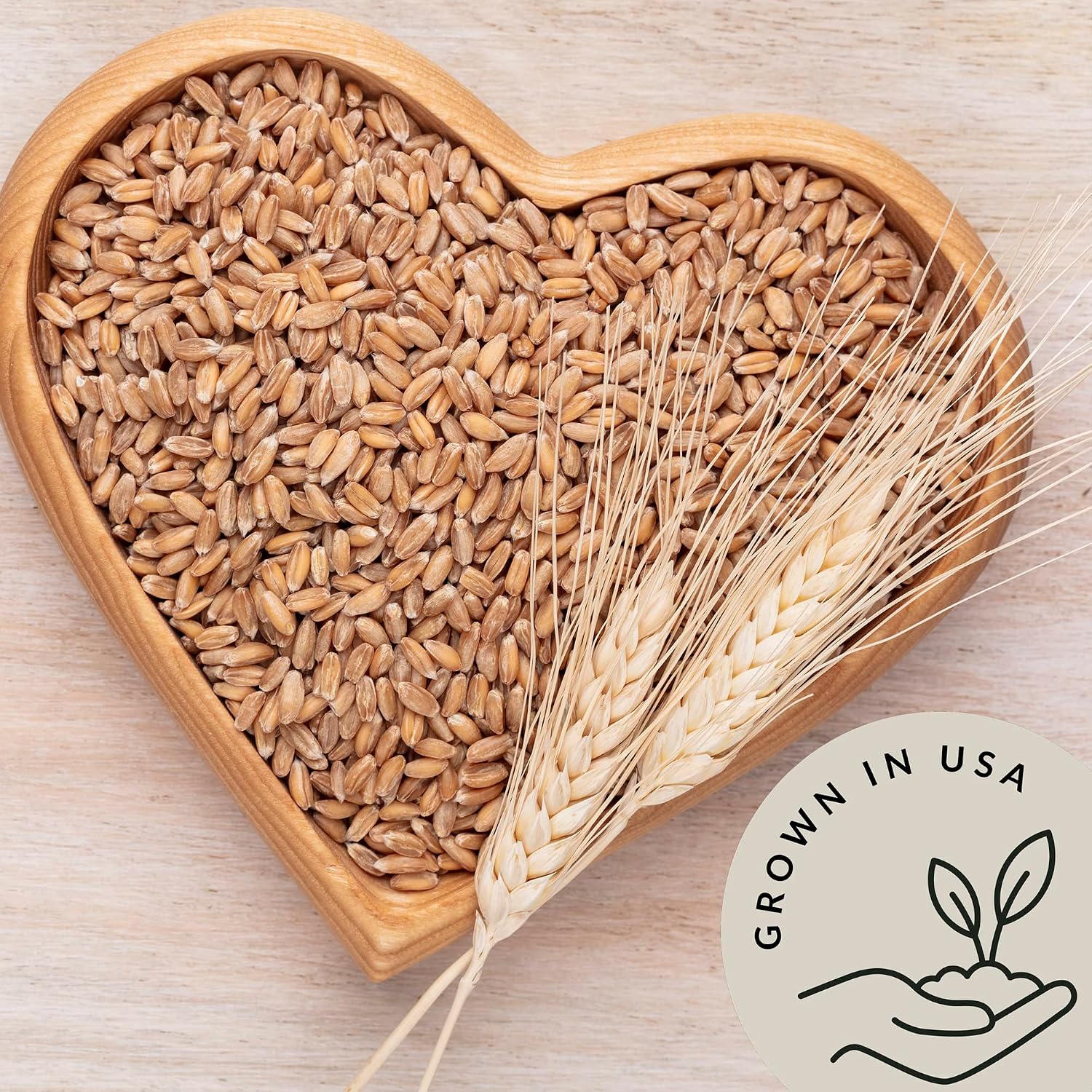 Organic Einkorn Farro Grain 4.8 lb - Einkorn Wheat Berries Bulk Whole | Ancient Grains Ideal for Soup, Flour, Bread - High in Fiber - USA Grown | USDA Certified | Vegan | Non-GMO