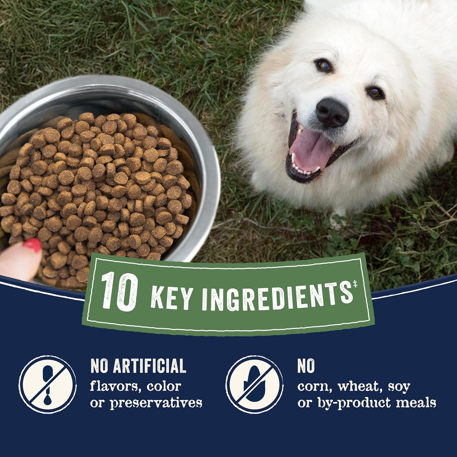 Canidae Pure Farm to Bowl Dry Dog Food - Balanced Nutrition for Adult Dogs - Limited Ingredient Formula - Grain, Wheat & Soy-Free - 22 lb - Wild-Caught Salmon & Sweet Potato Recipe
