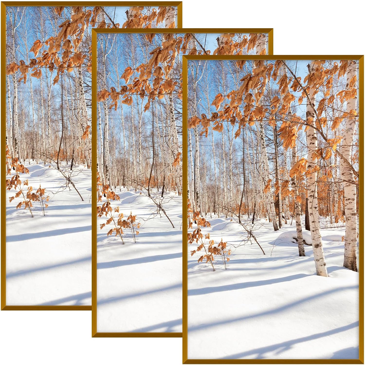 Golden State Art 3 Pack 12x12 Black Aluminum Frames, Real Glass Fronts