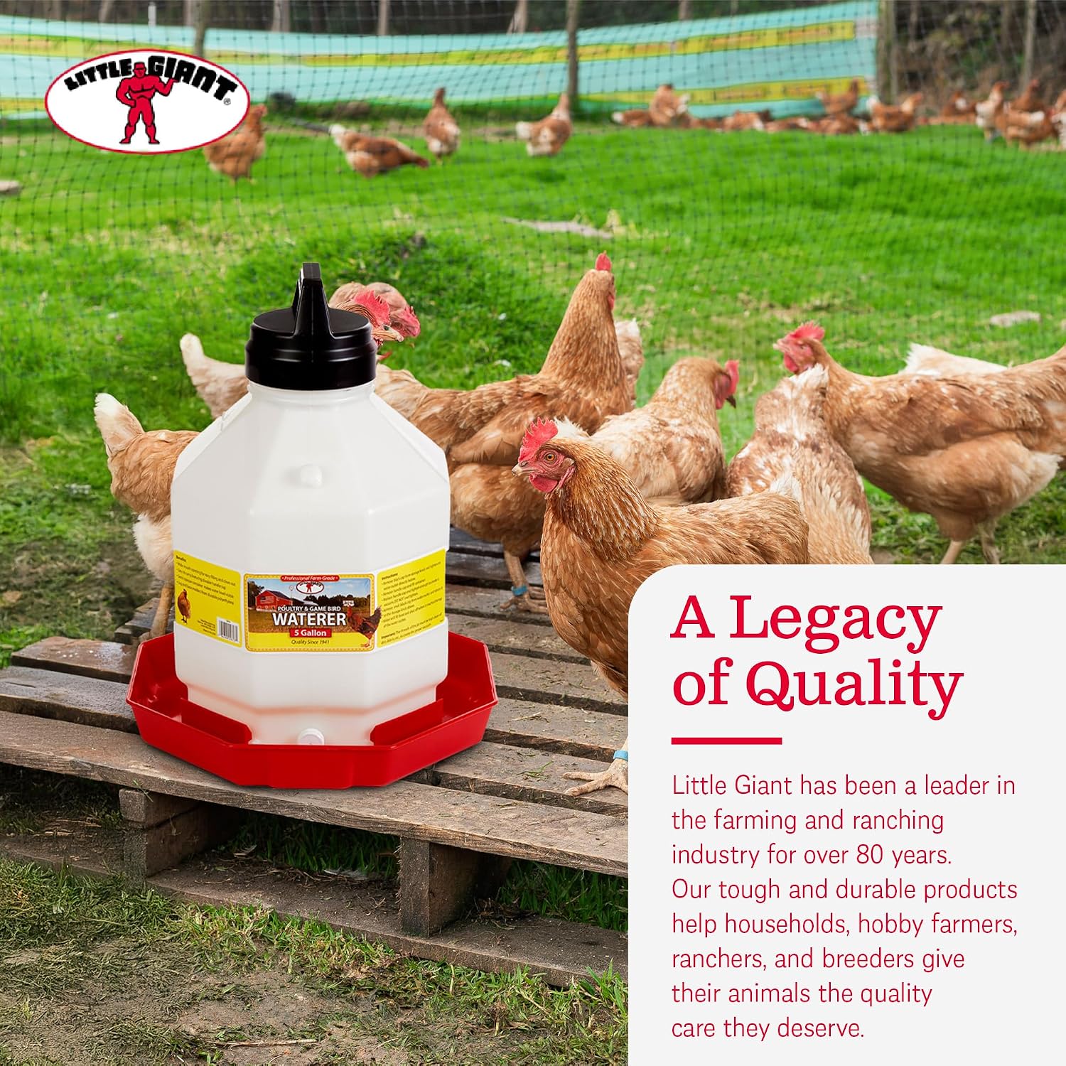 Little Giant Plastic Poultry Waterer