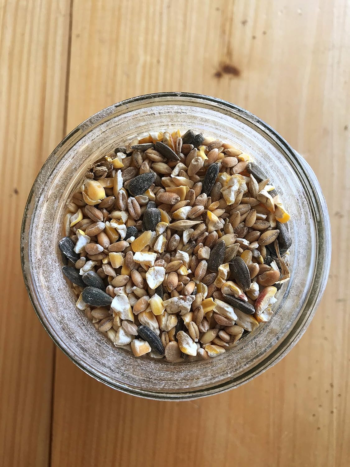 Ernst Grain & Livestock's Bird and Wildlife Feed – Perfect for Birds, Ducks, Squirrels, Turkeys, Rabbits, Geese