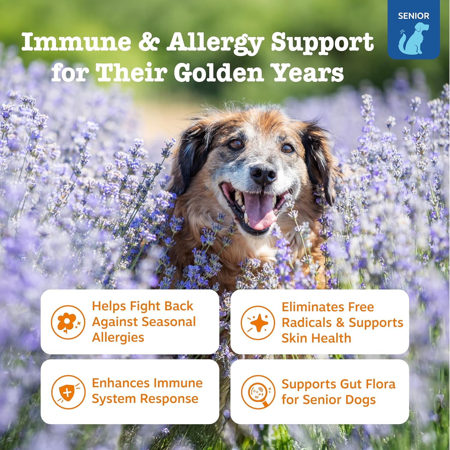 Zesty Paws Allergy Immune Bites - Dog Allergy Chews, Dog Probiotics for Itchy Skin and Ears, Lamb, 90ct