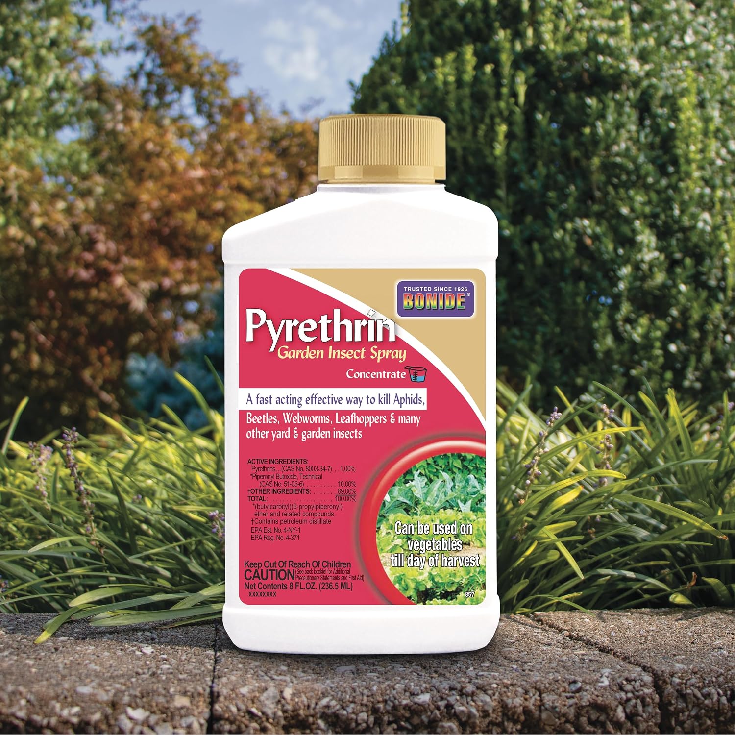 Bonide Pyrethrin Garden Insect Spray Concentrate, 8 oz Ready-to-Mix Fast Acting Insecticide for Outdoor Garden Use | Ready-to-Mix, Fast Acting Insecticide for Outdoor Garden Use