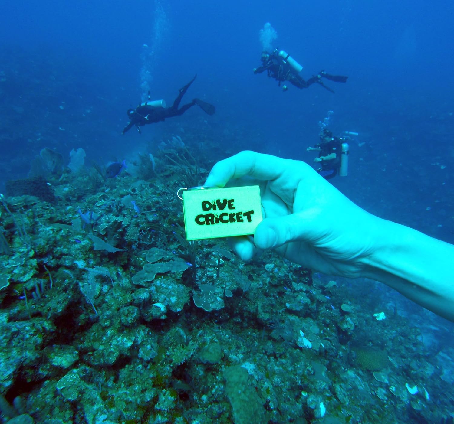 Underwater Communication/signaling Device (1 Pack)