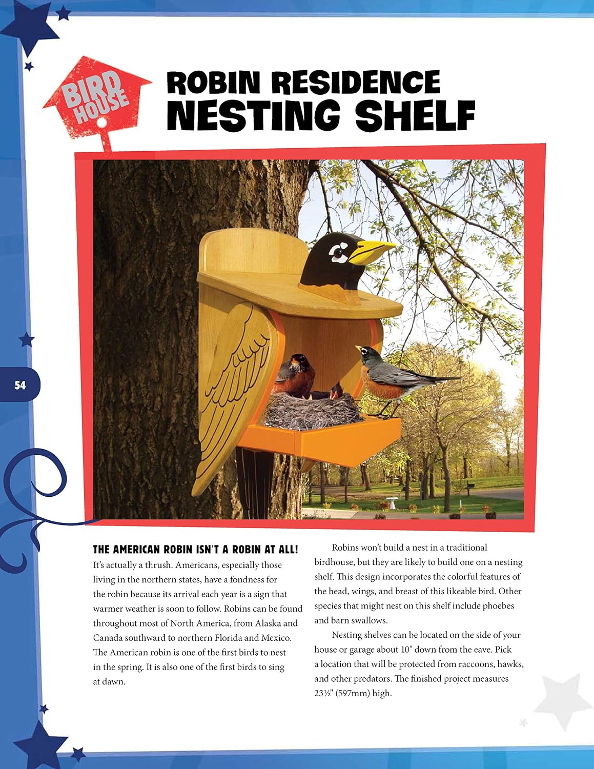 Wild & Wacky Birdhouses and Feeders: 18 Creative and Colorful Projects That Add Fun to Your Backyard (Fox Chapel Publishing) Bear, Rooster