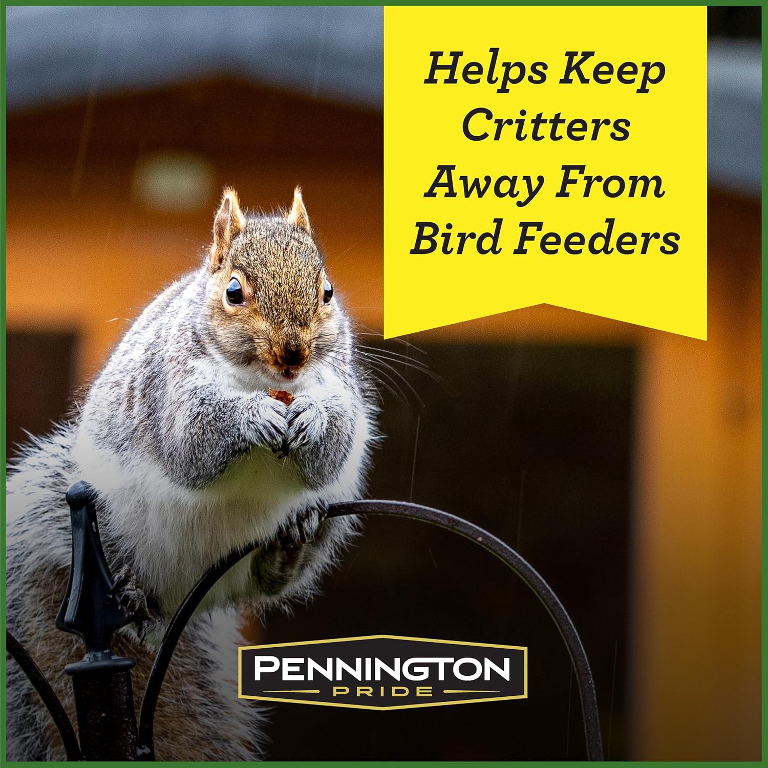 Pennington Squirrel & Critter Blend with Sunflower, Corn & in Shell Peanuts | 10-lb bag, Corn, sunflower seeds