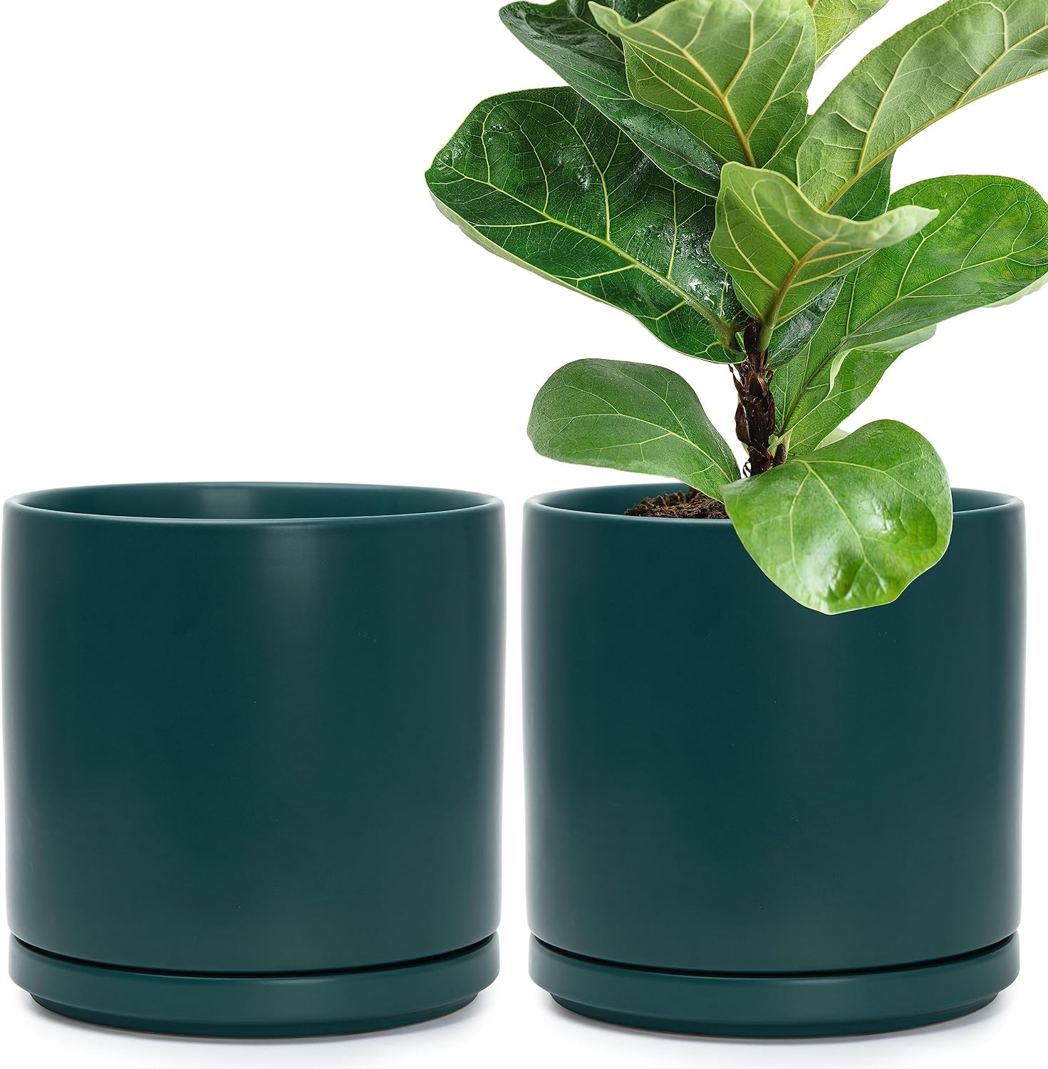 D'vine Dev 2-Pack Ceramic Pots with Saucers, White/Grey, 4.7 in, 94-V-B-6