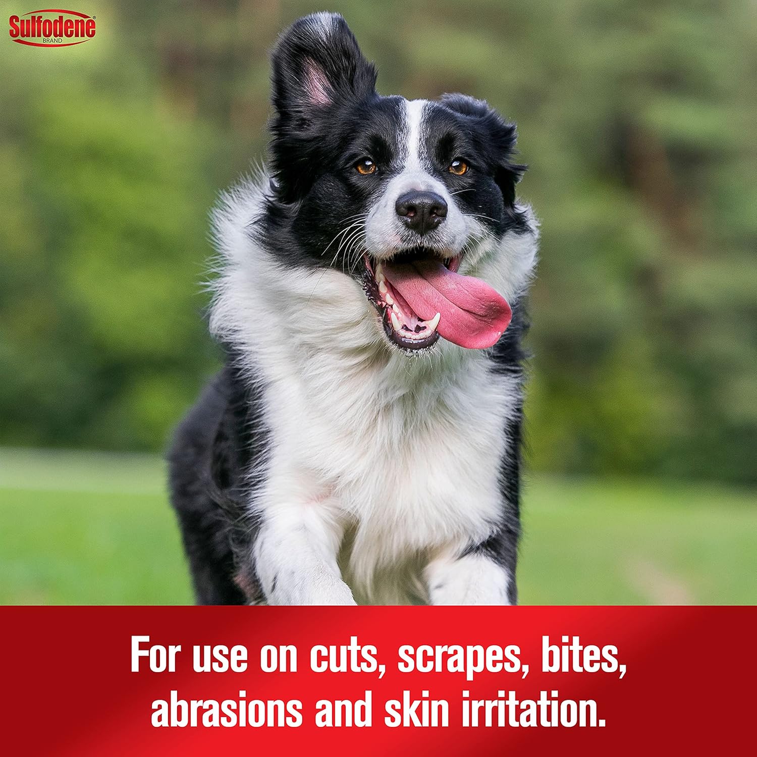 Sulfodene Wound Care 3-Way Ointment for Dogs & Puppies, Soothes Cuts, Scrapes, Skin Irritation, and Redness