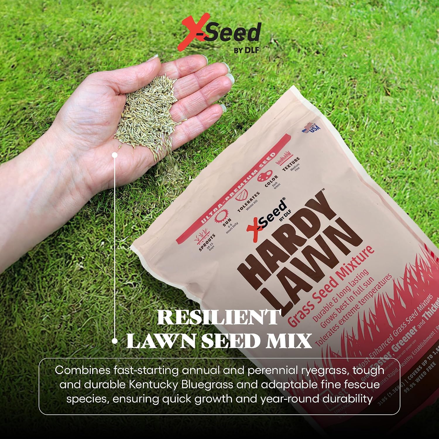 X-Seed Ultra Premium Hardy Lawn Seed Mixture, 7-Pound