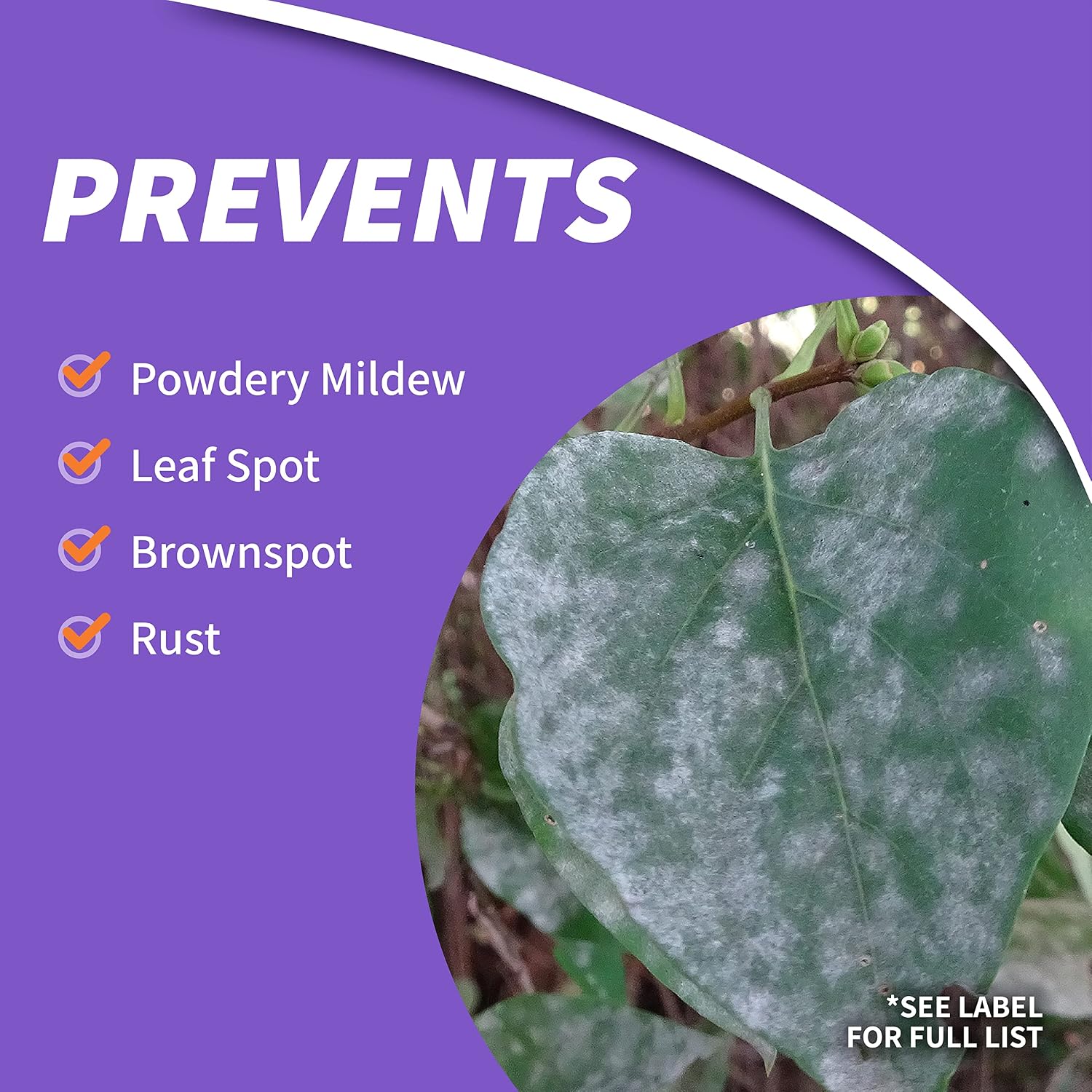 Bonide Fruit Tree & Plant Guard, 32 oz Concentrate | Multi-Purpose Fungicide, Insecticide, Miticide, For Home Gardening