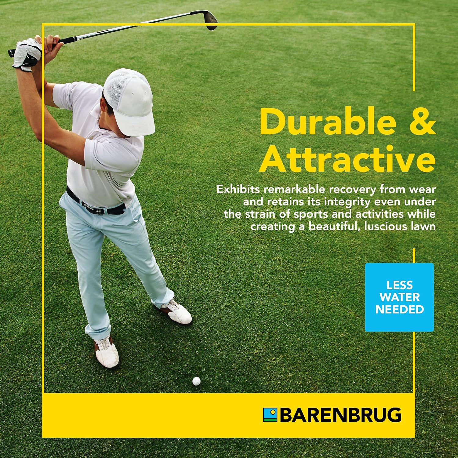Barenbrug Turf Blue Healthy Grass Technology Grass Seed with Yellow Jacket Coating - Heavy Traffic Seed for Use on Sports Fields, Golf Courses, Parks