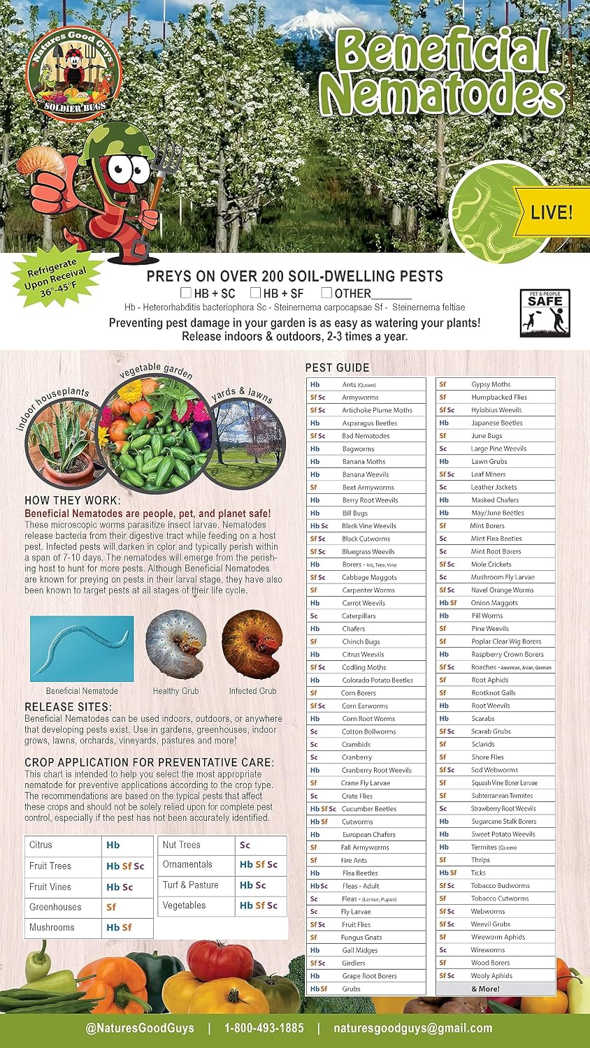 10 Million Live Beneficial Nematodes Hb & Sf - Kills Over 200 Different Species of Soil Dwelling and Wood Boring Insects.