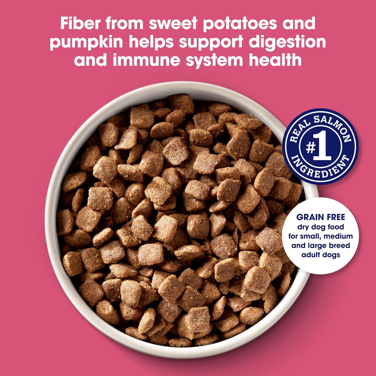 Nature's Recipe Grain Free Salmon Dry Dog Food, 24 lb. Bag | Fiber From Sweet Potatoes & Pumpkin Helps Support Digestion and Immune System Health