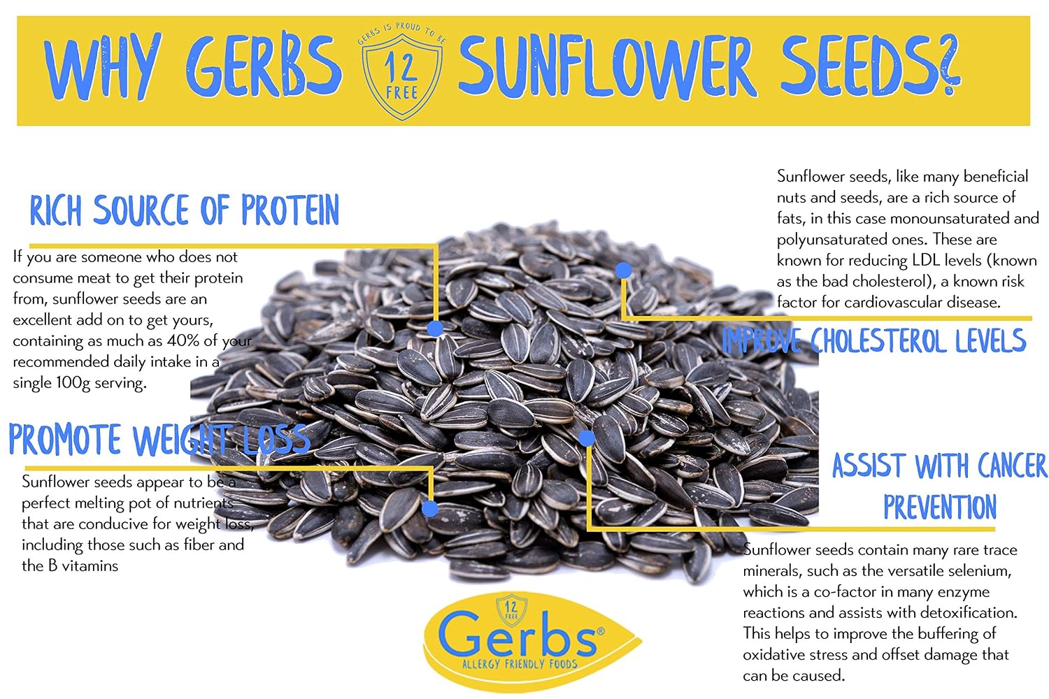 Lightly Sea Salted Sunflower Seed in Shell by Gerbs - 2 LBS - Top 11 Food Allergen Free & Non GMO - Premium Dry Roasted Seeds – COG USA | Small Batch, No Artificial Additives, Resealable Bag | Crack-and-Eat Crunchy Snack | Top 14 Allergen-Free