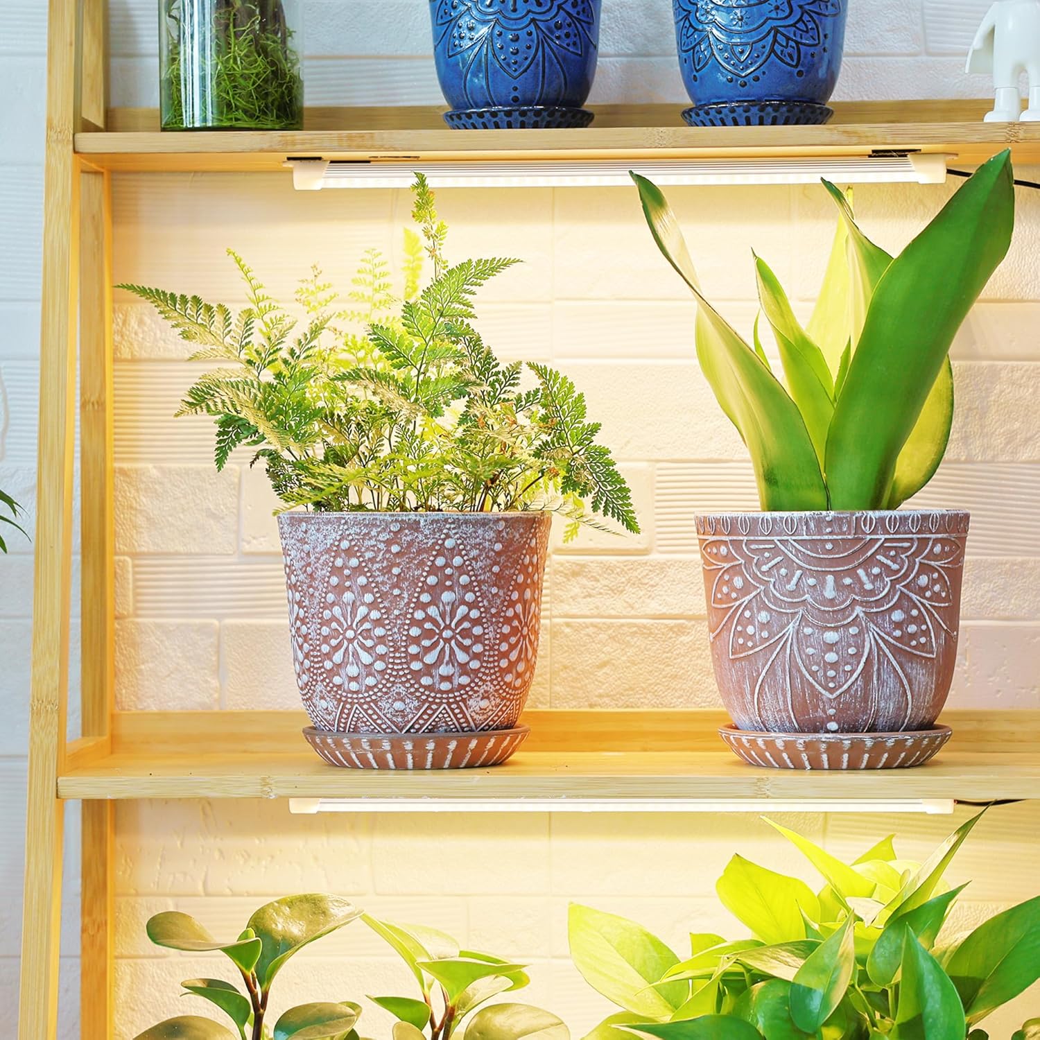 Gepege Ceramic Plant Pots, 6 Inch Indoor Planters with Drainage & Saucers