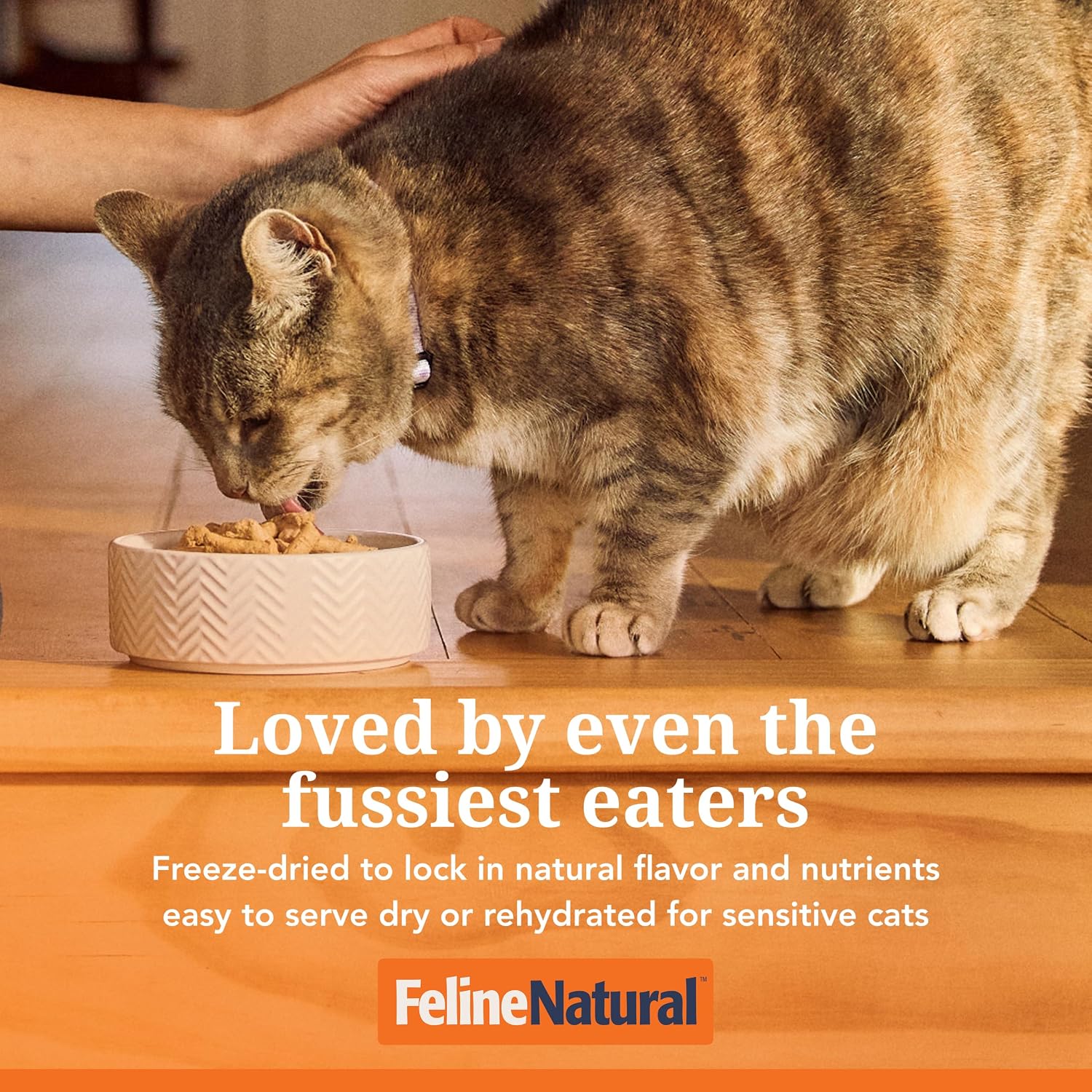 Feline Natural - High Protein Freeze Dried Dry Cat Food with 98% Meat
